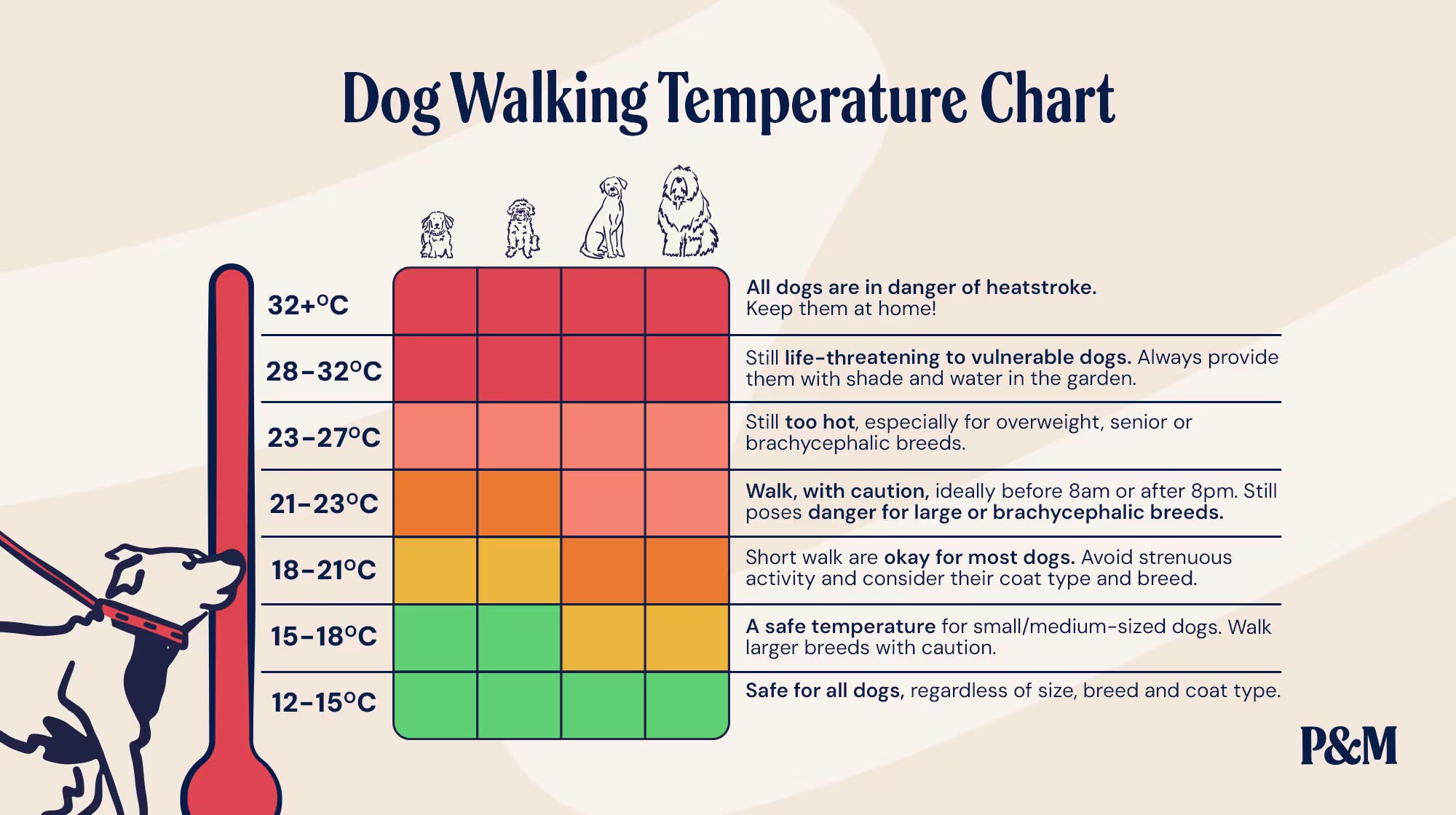 P&M BLOG DOG WALKING TEMPERATURE INFOGRAPHIC
