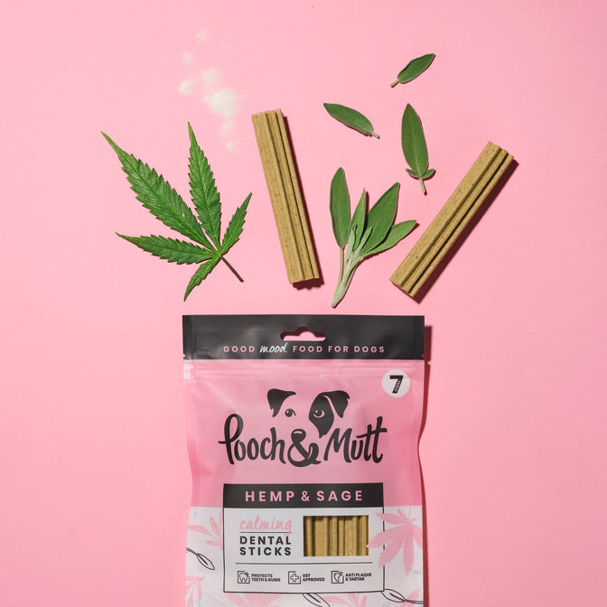 Calming Dental Sticks For Dogs Gift