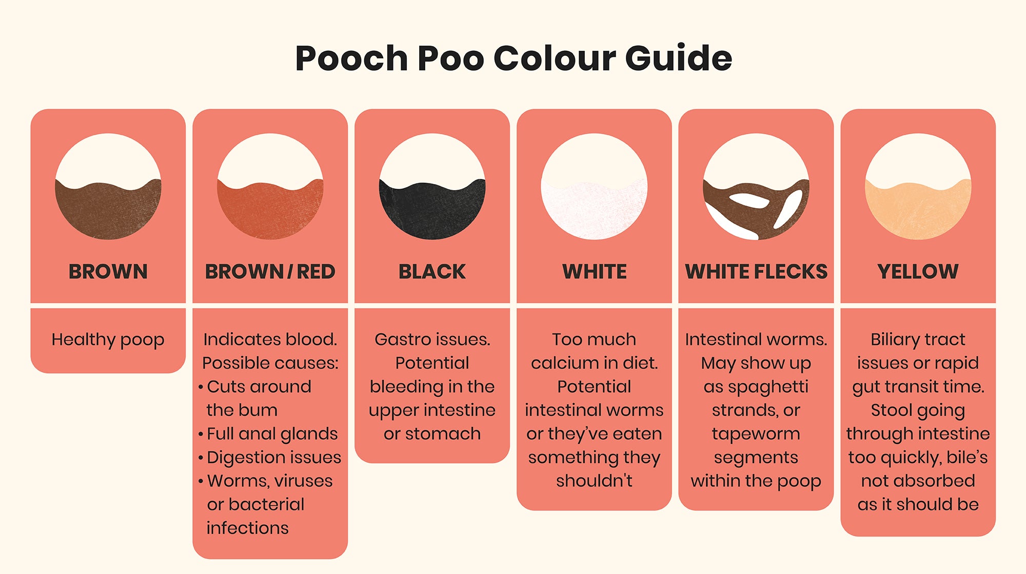 Everything you need to know about your puppy's poop-Image 1
