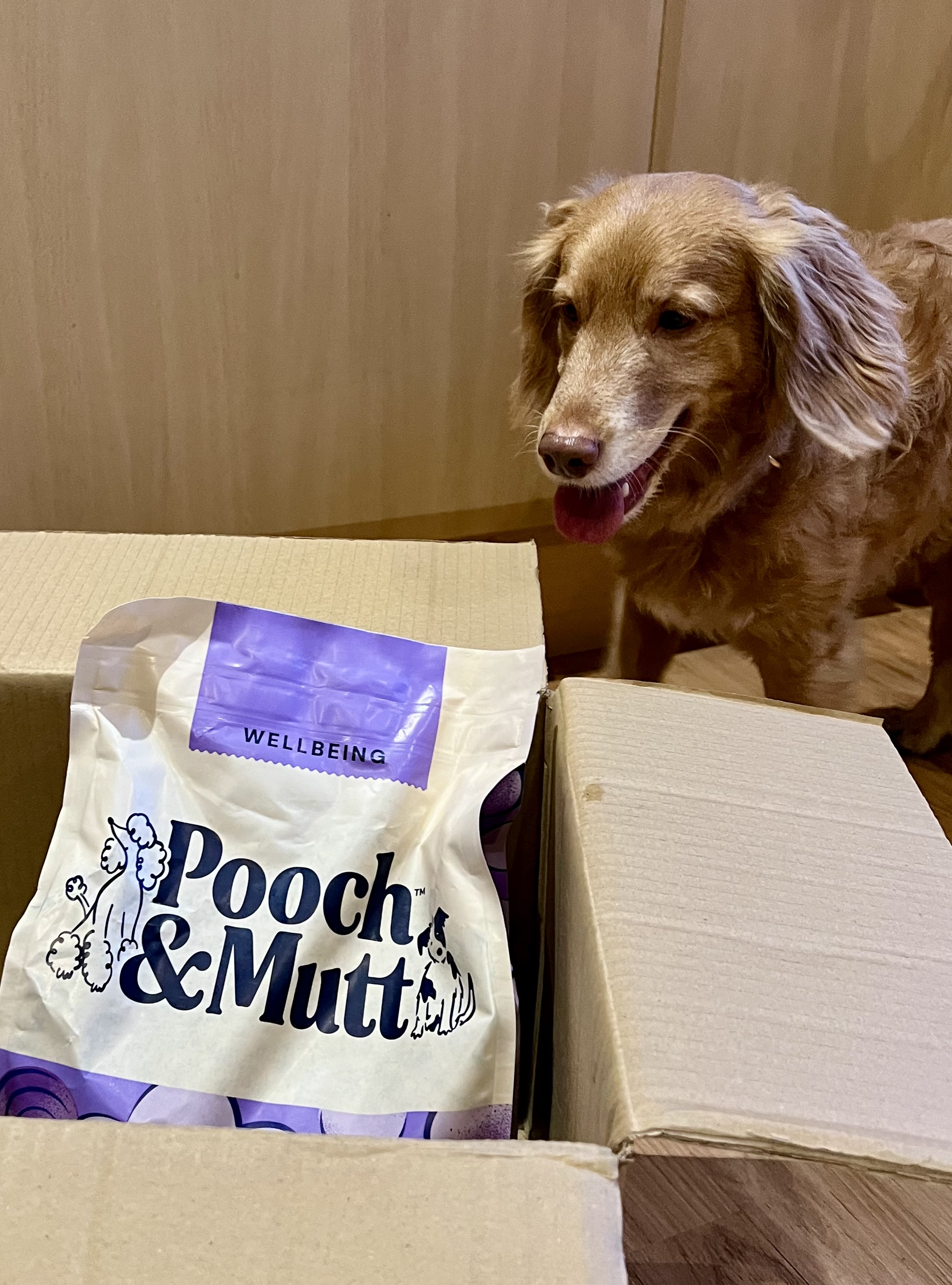 IMG 4362 - Lauren Smith