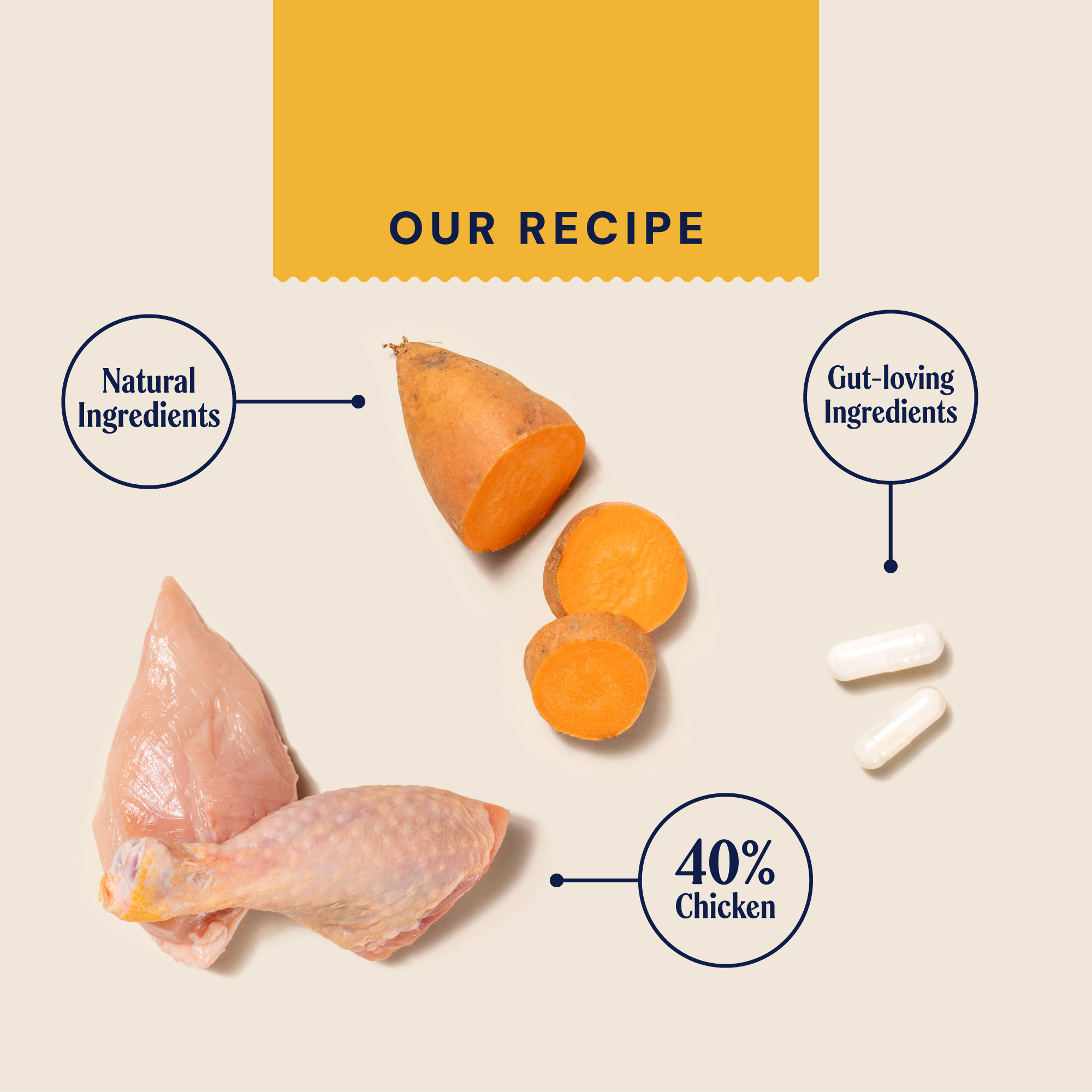 P&M INGREDIENT IMAGE SUPERFOODS SMALL ADULT