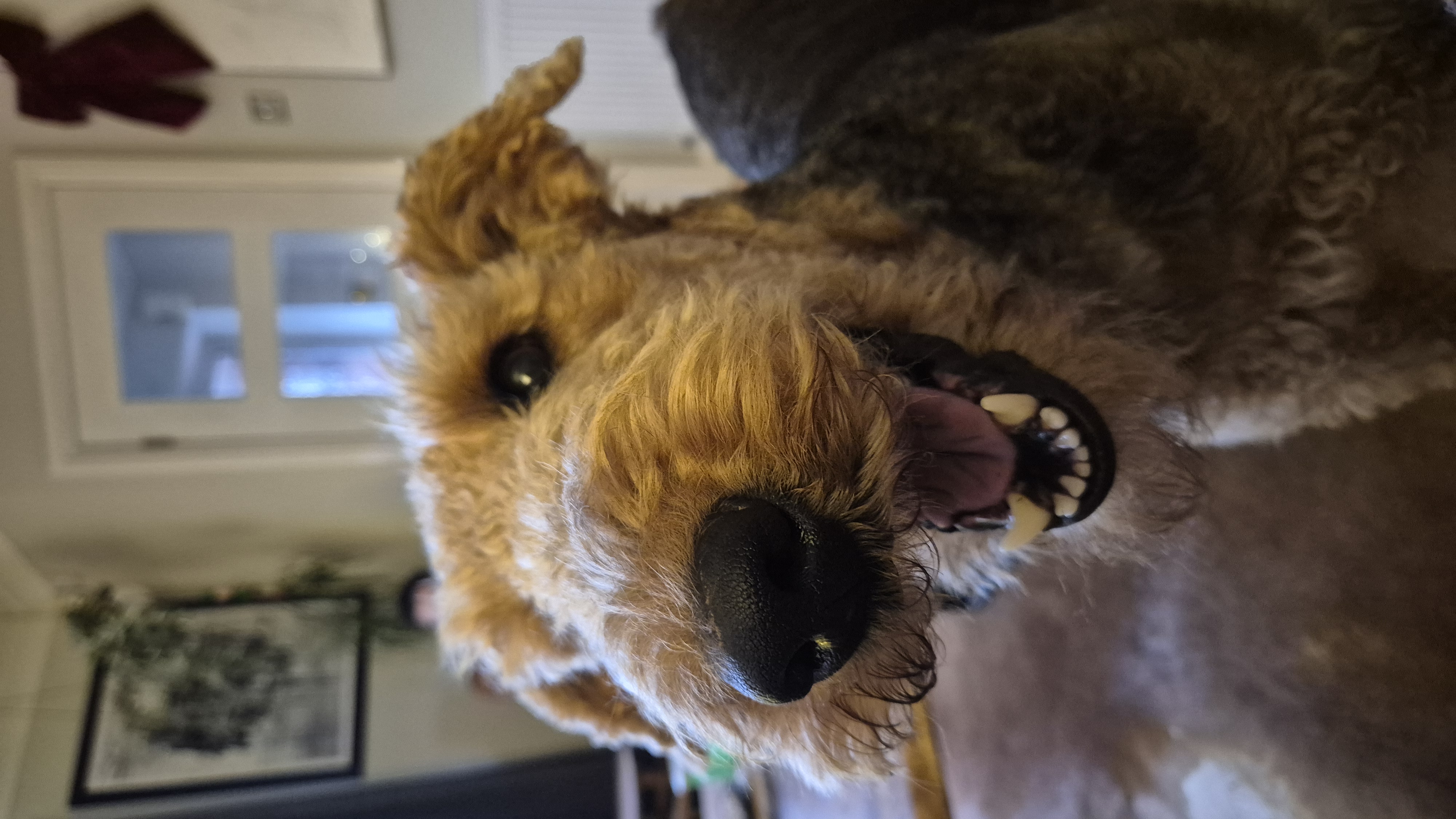 20251214 152929 - Lisa Marshall