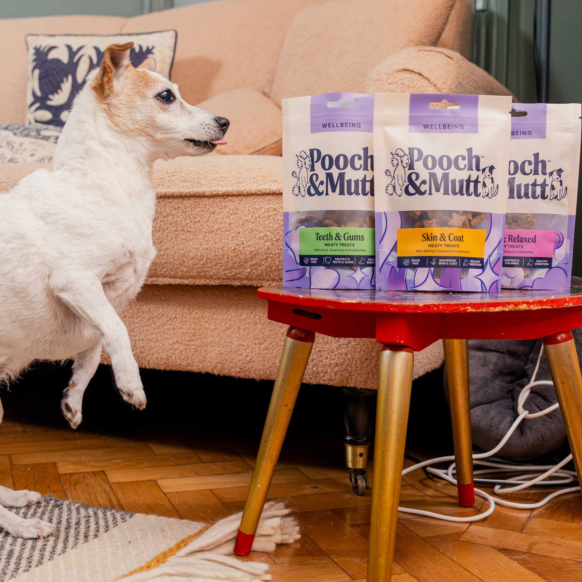 Meaty Treats Taster Pack MTMX3 1 lifestyle