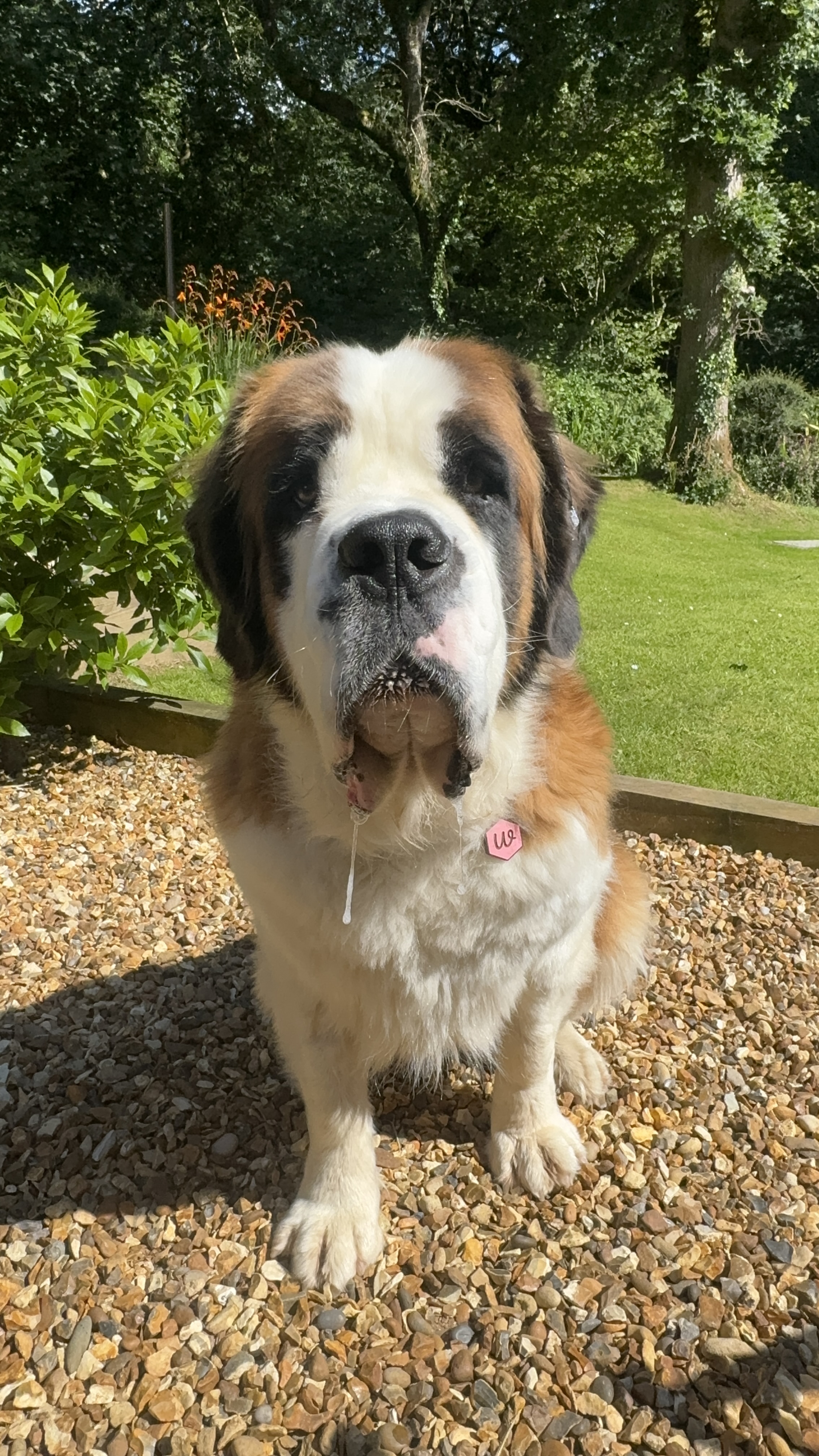 IMG 0348 Original - Victoria Burrows