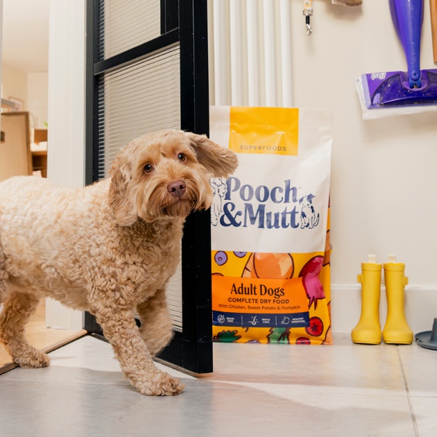 Homepage - Sale assets -hero-2