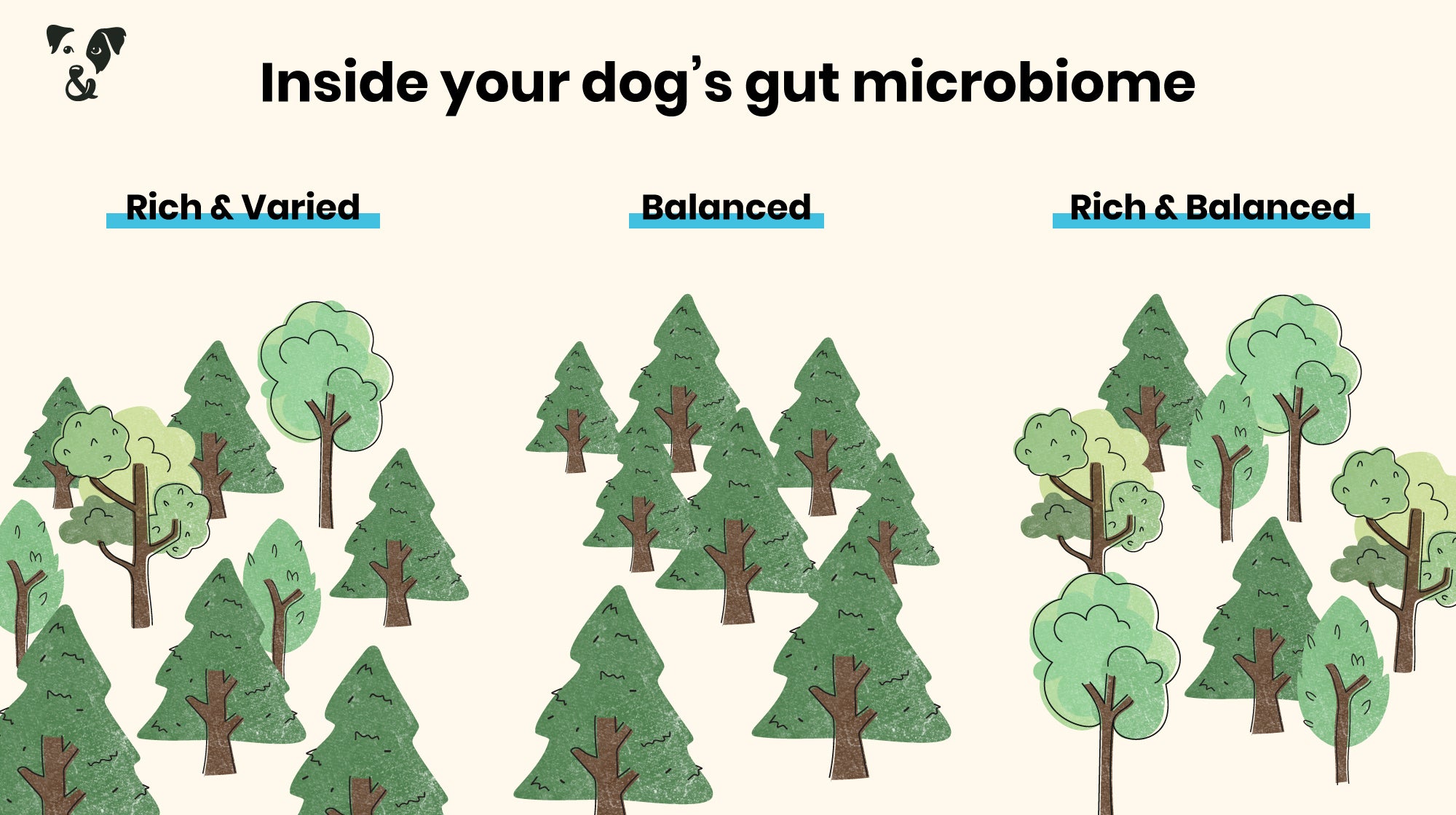 Is Kefir good for dogs? Benefits, tips & tricks-Image 2