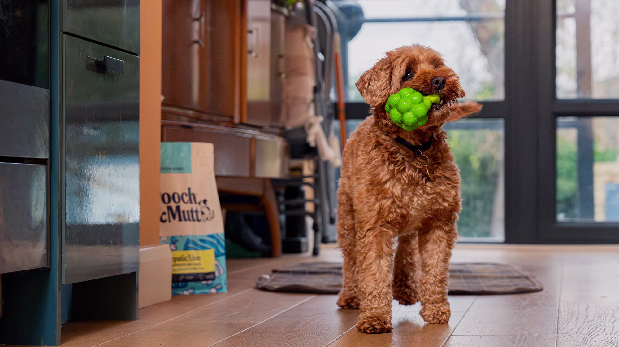 What’s the best dog food for liver disease?