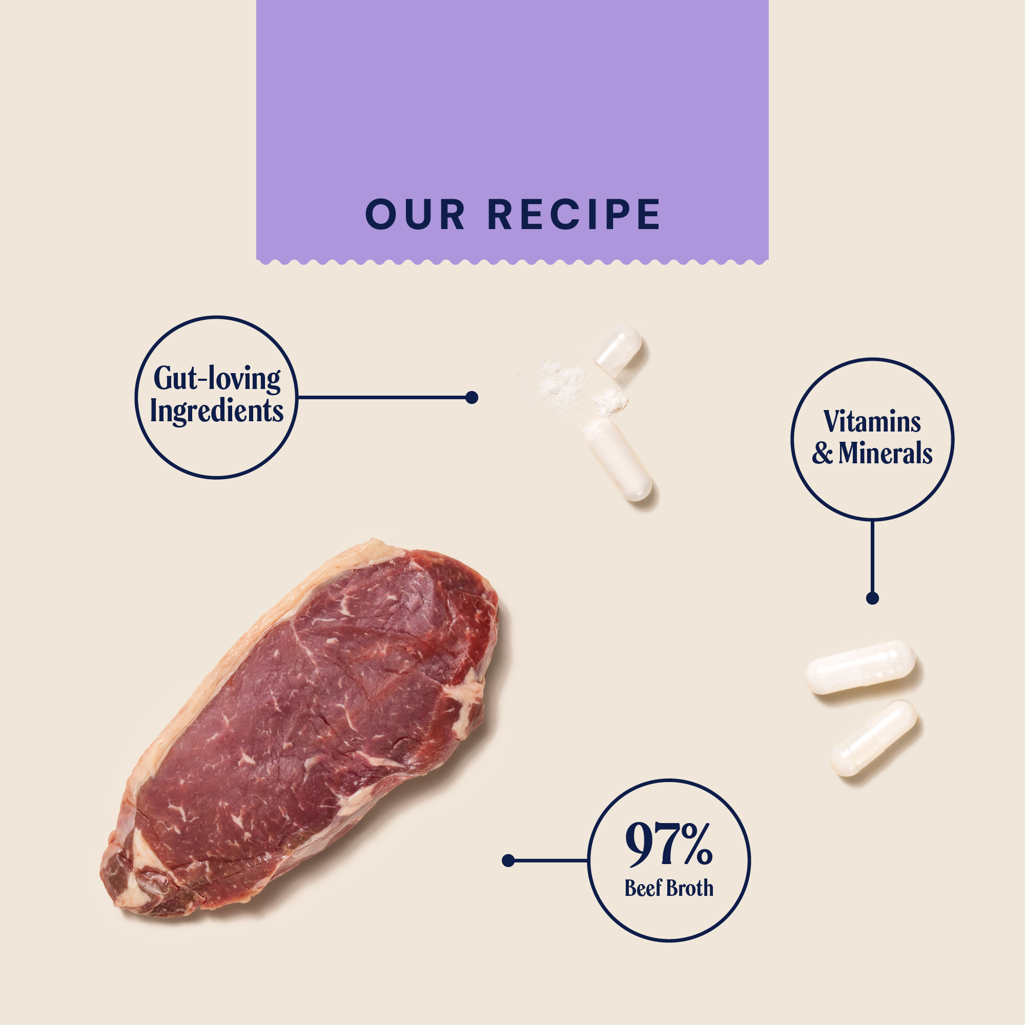 P&M INGREDIENT IMAGE WELLBEING HEALTH & DIGESTION