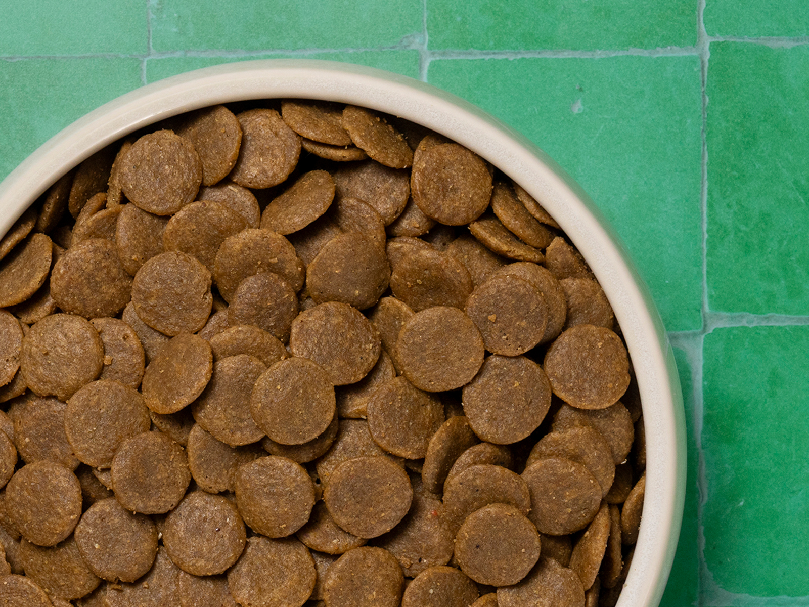 Pet care from top to tail.