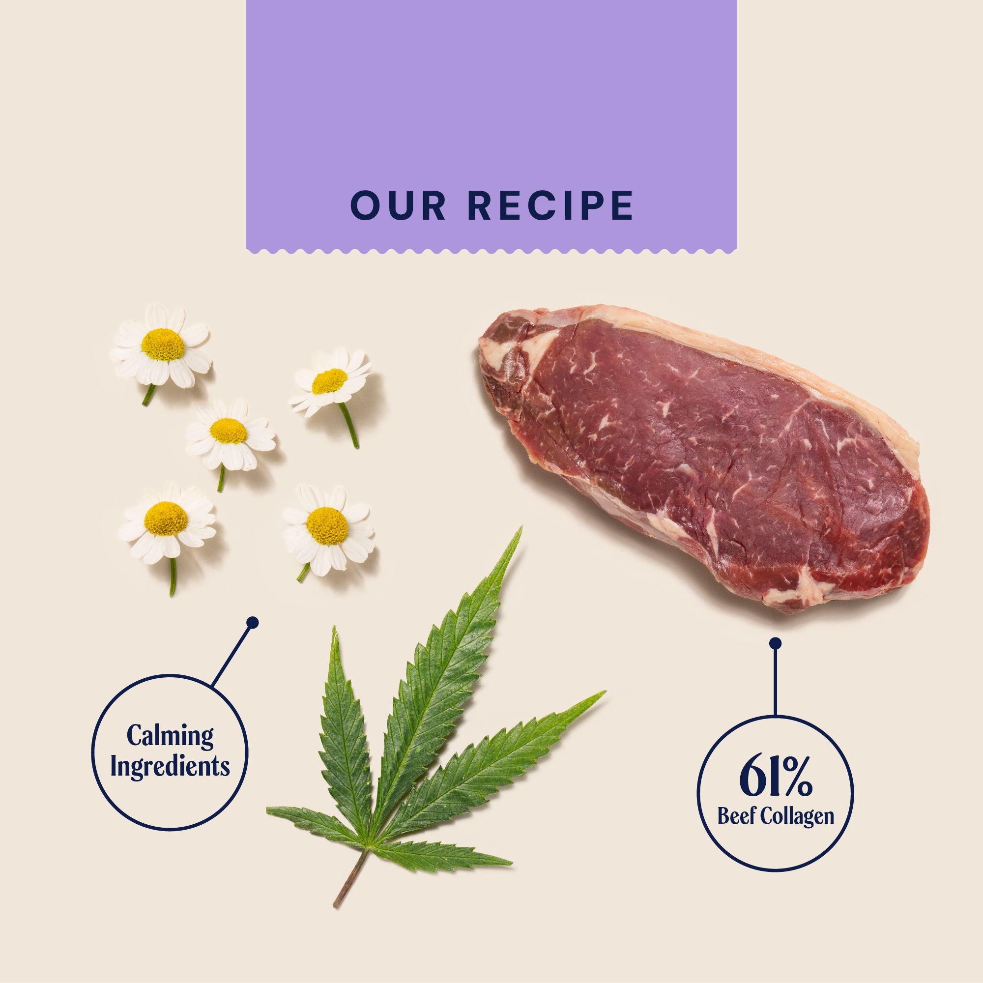 P&M INGREDIENT IMAGE WELLBEING CALM & RELAXED COLLAGEN CHEWS