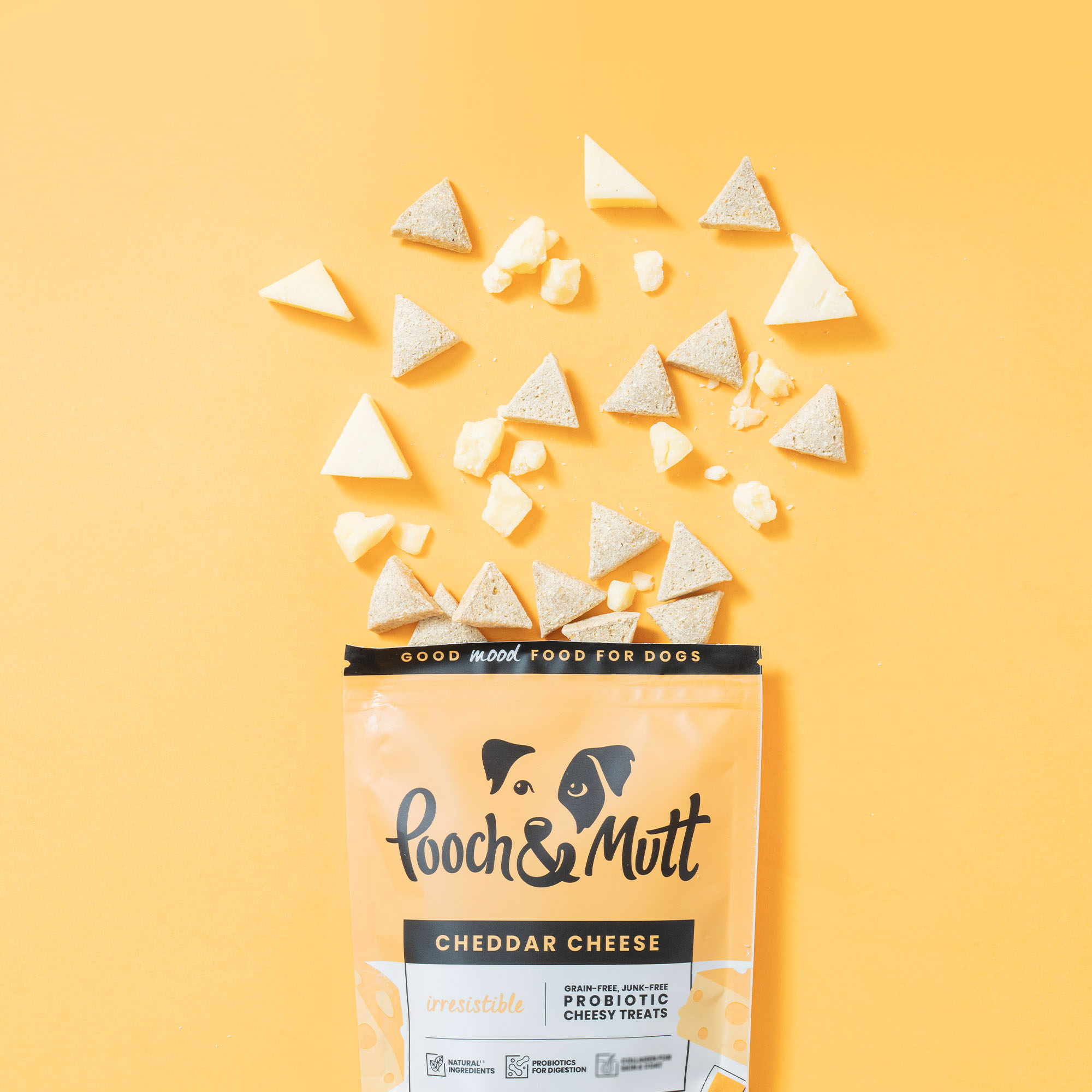 Cheddar Cheese Probiotic Treats Gift