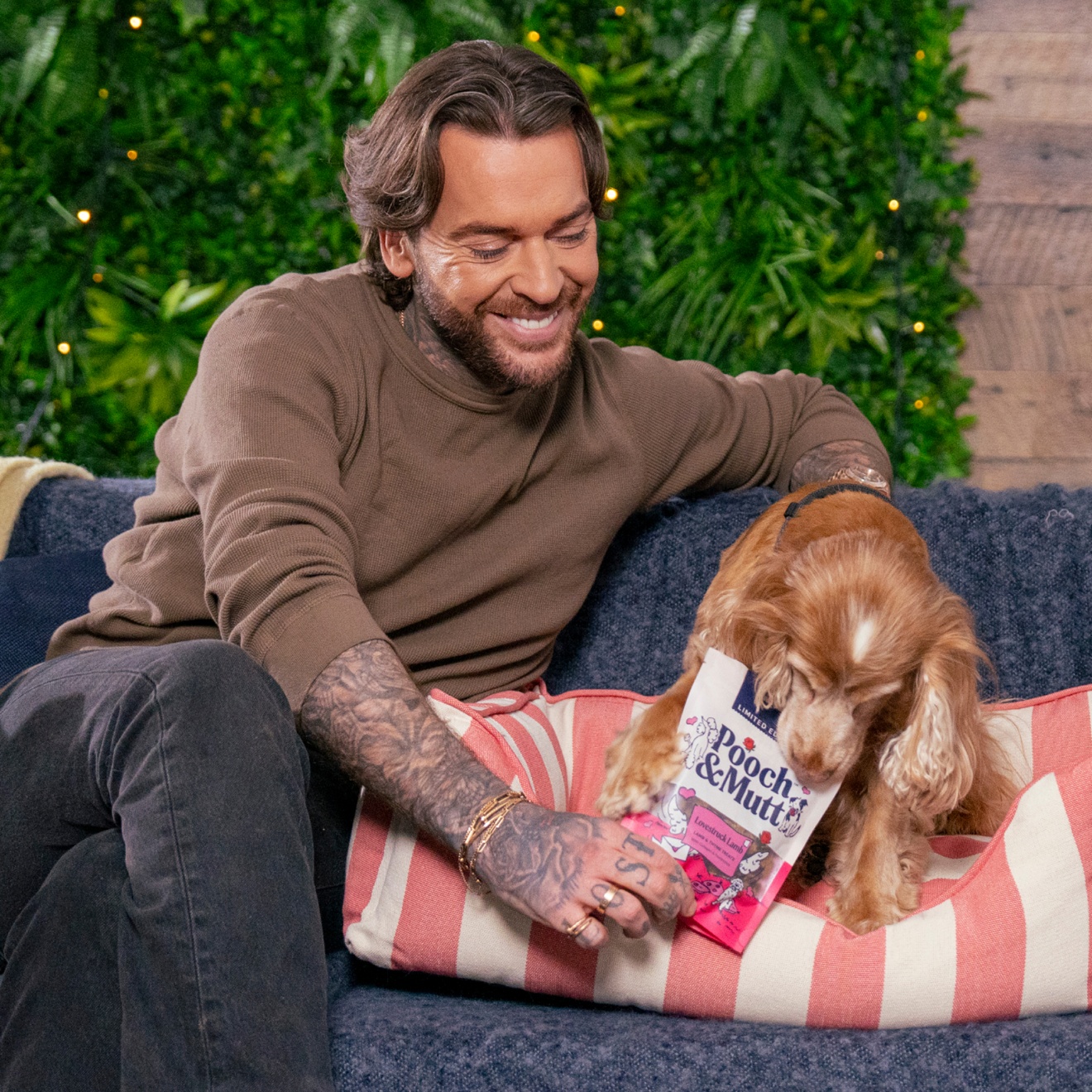 Pete Wicks With Pooch & Mutt Lovestruck Lamb Probiotic Meaty Treats 