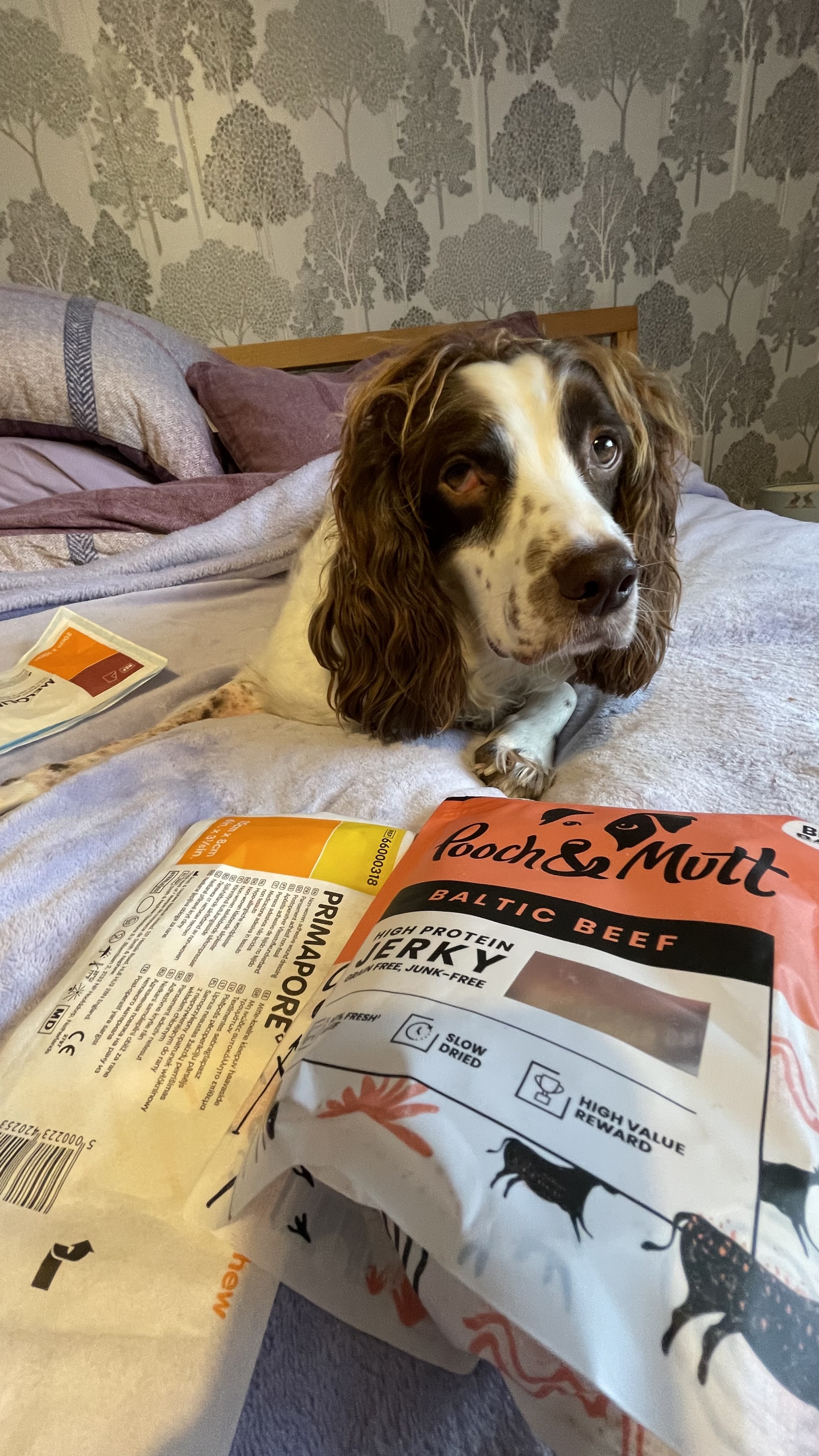 IMG 0391 - Paws a While with Me