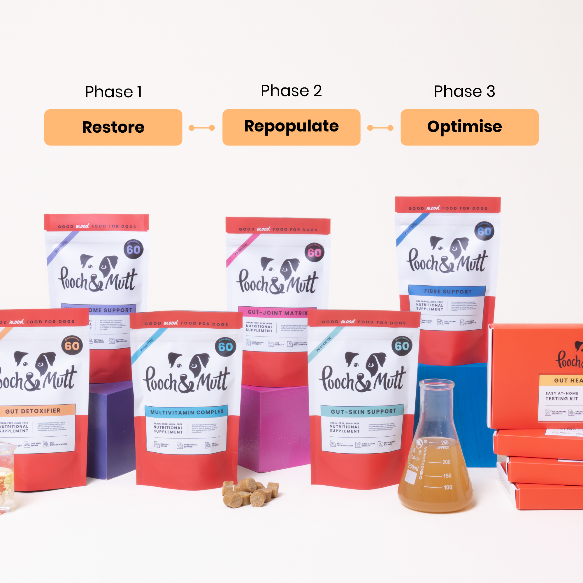 WEB GUT HEALTH SUPPLEMENT PHASES