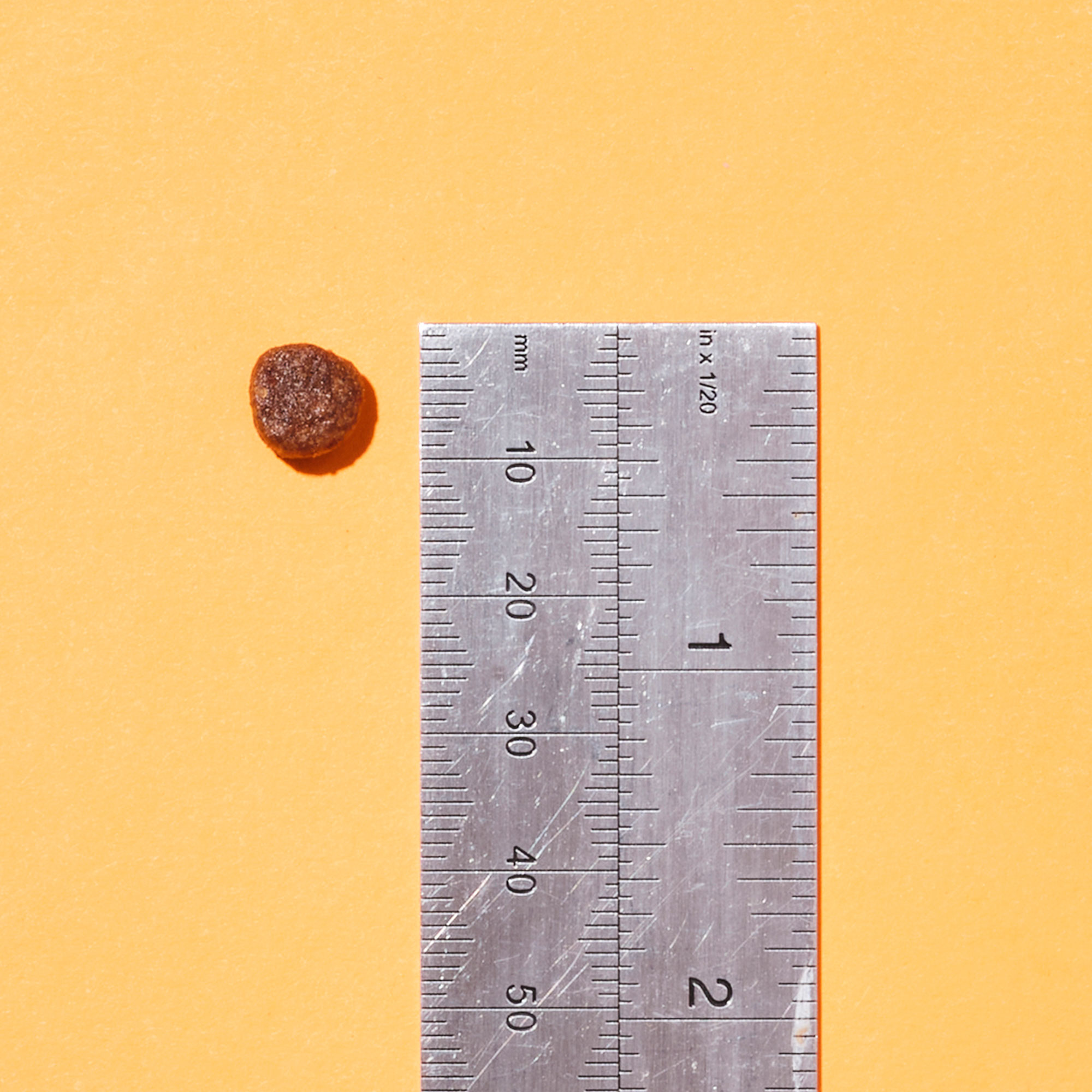 purrandmiaowturkeyandduckkiccleforcats