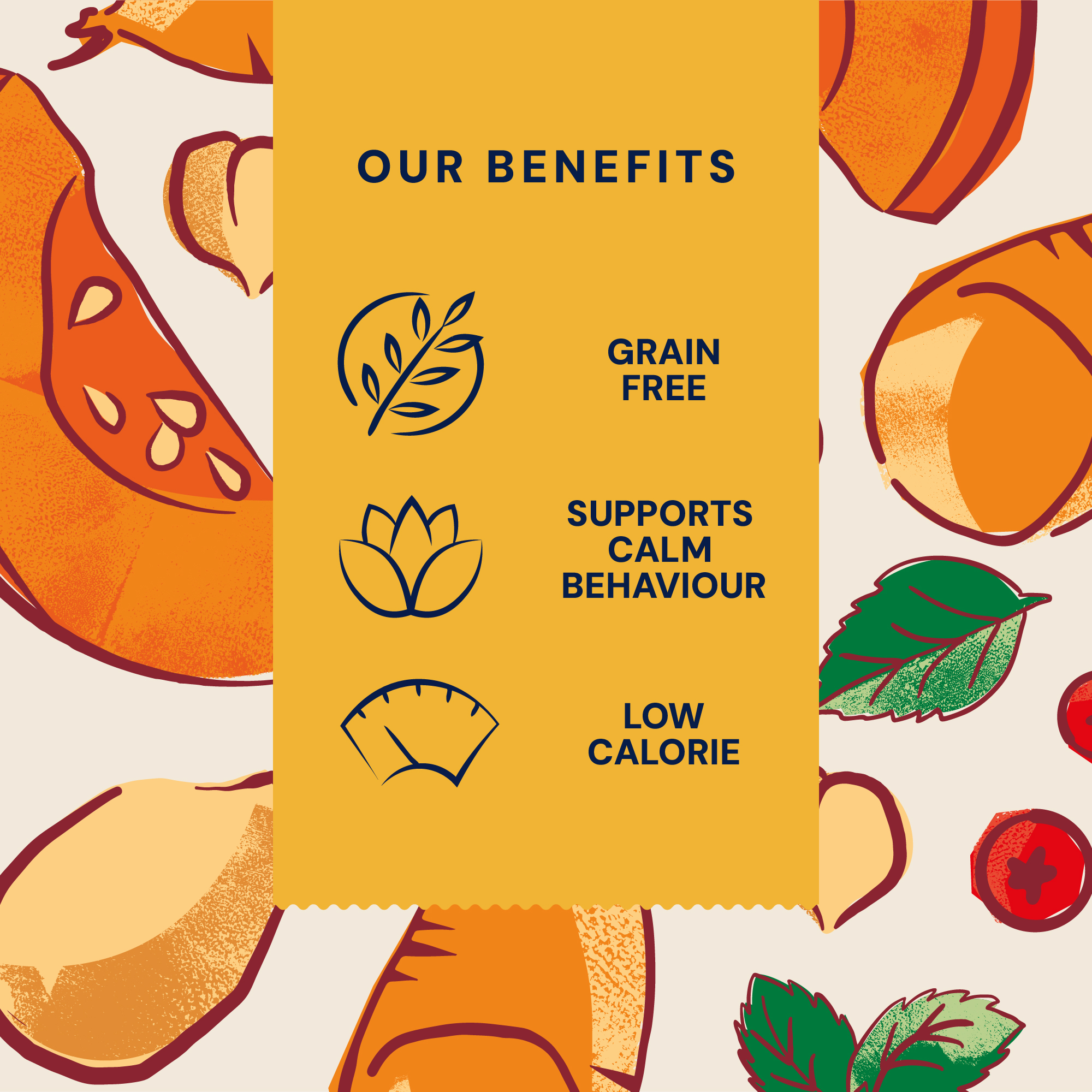 P&M BENEFIT CARD DRY FOOD SUPERFOODS INDOOR