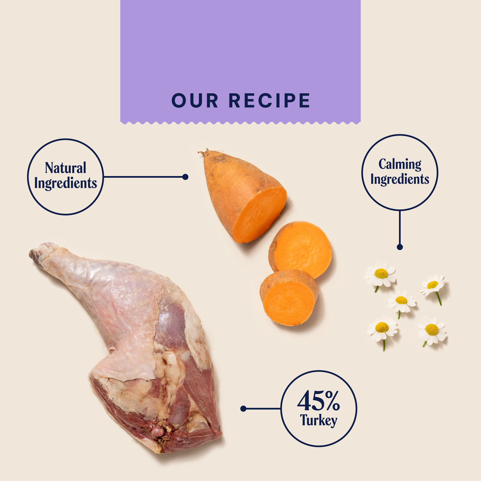 P&M INGREDIENT IMAGE WELLBEING CALM & RELAXED