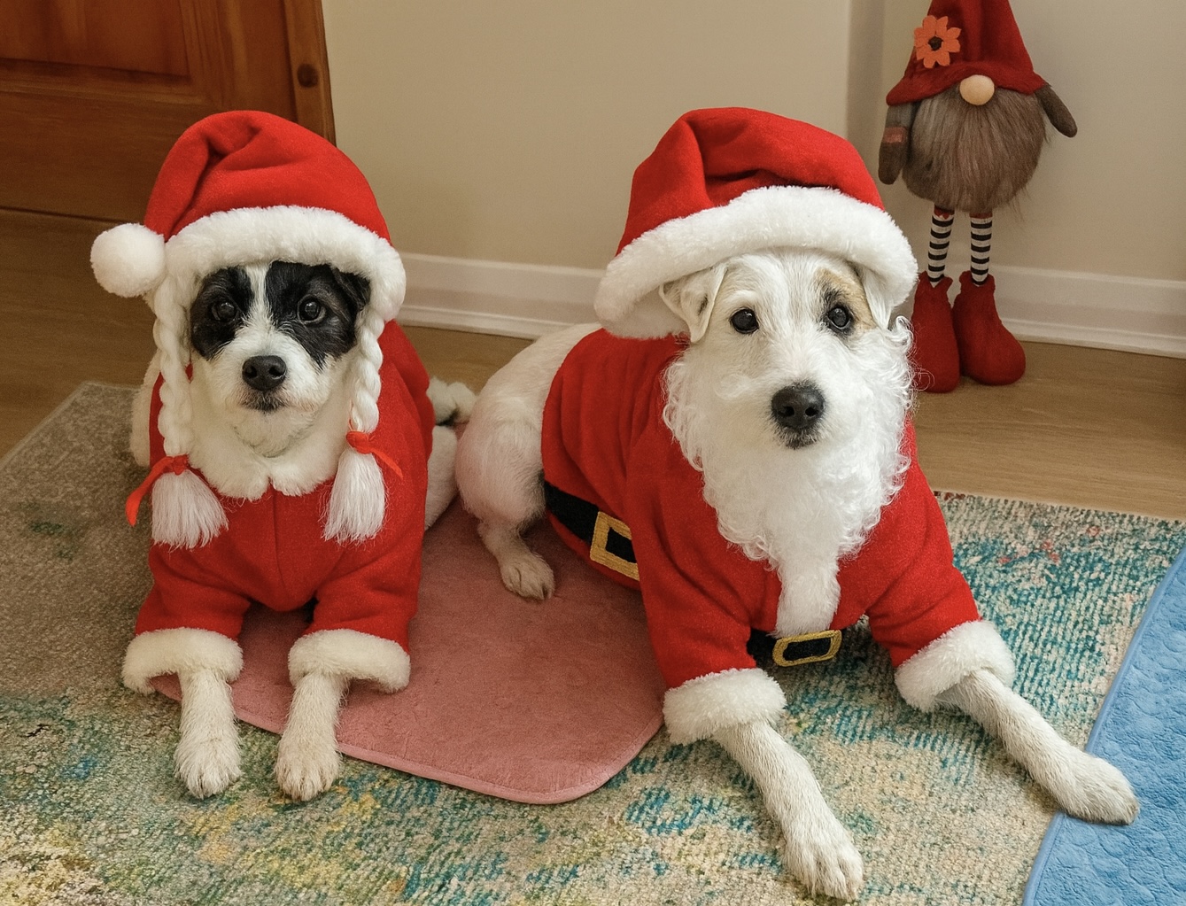 IMG 1366 - Mandy Measures