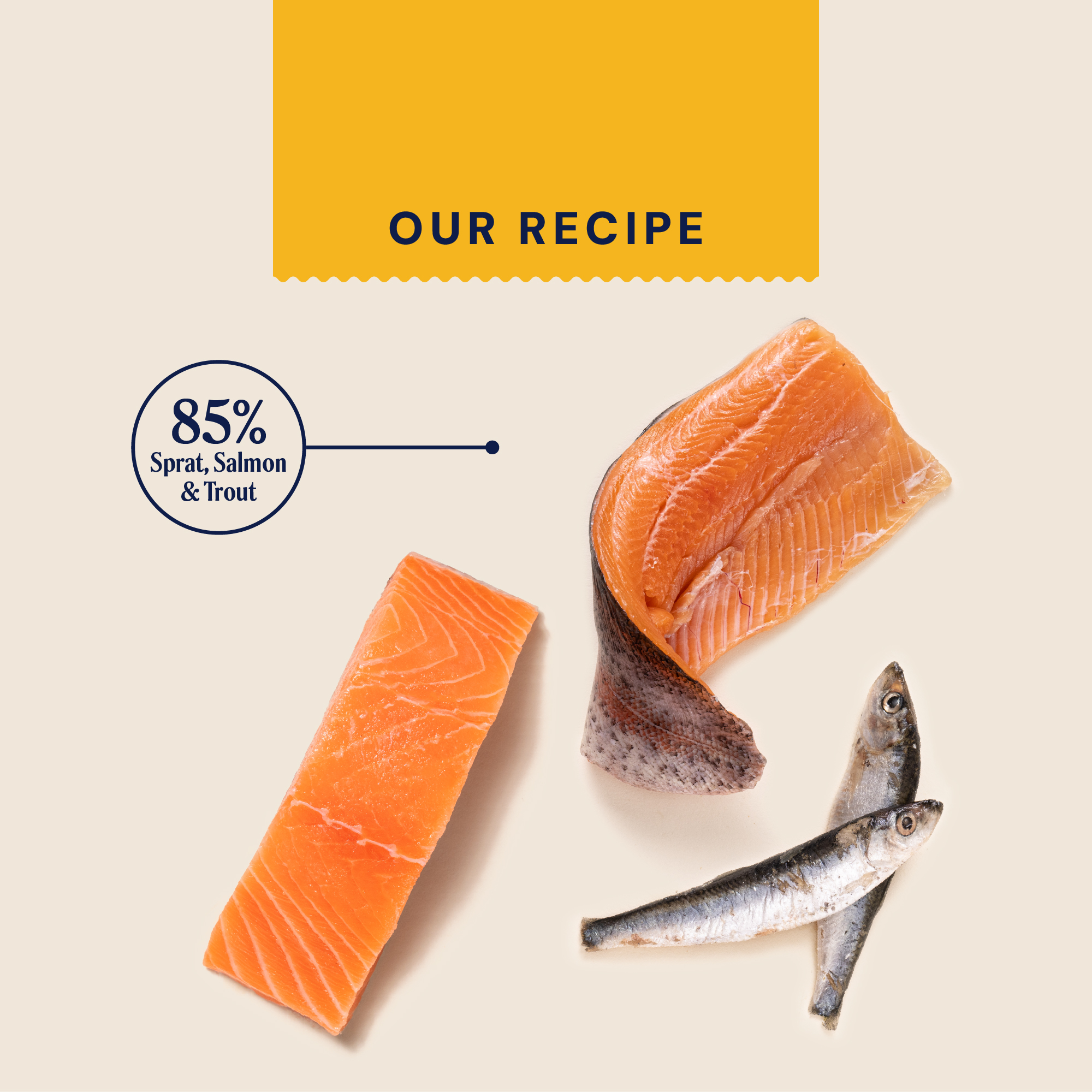 P&M INGREDIENT IMAGE SUPERFOODS PUPPY FISH JERKY