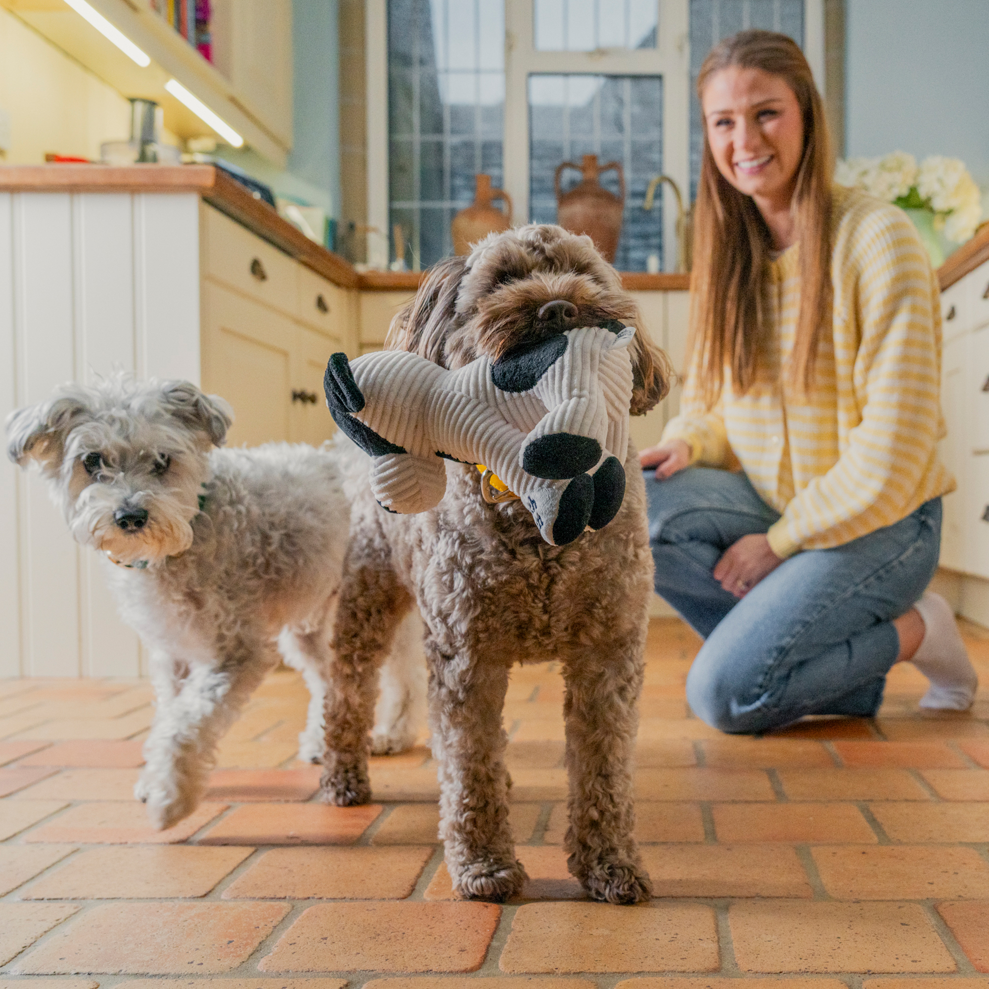 Patch Toy POOCHPATCHTOY 1 lifestyle