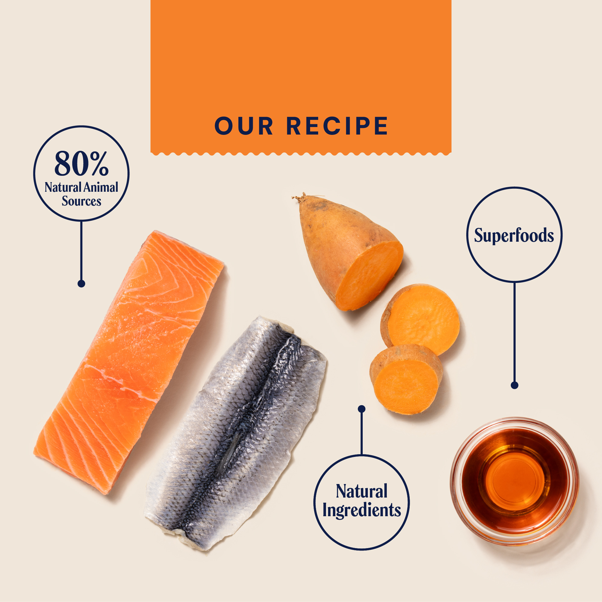 Salmon & Herring Dry Cat Food