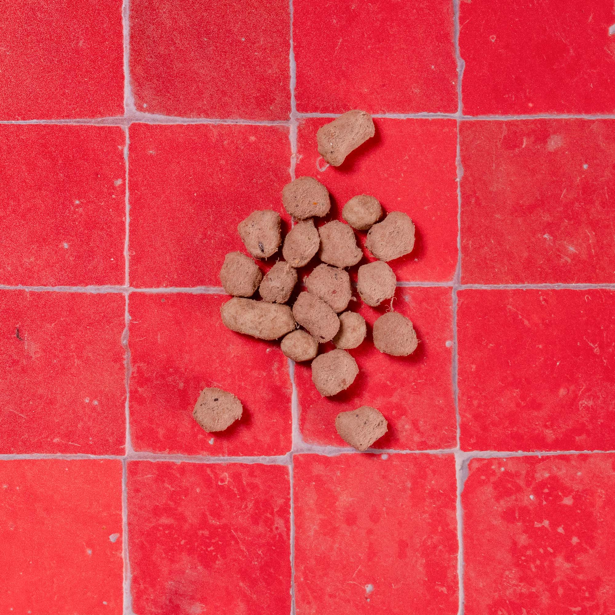 Turkey Multifunctional Freeze Dried Dog Food Topper