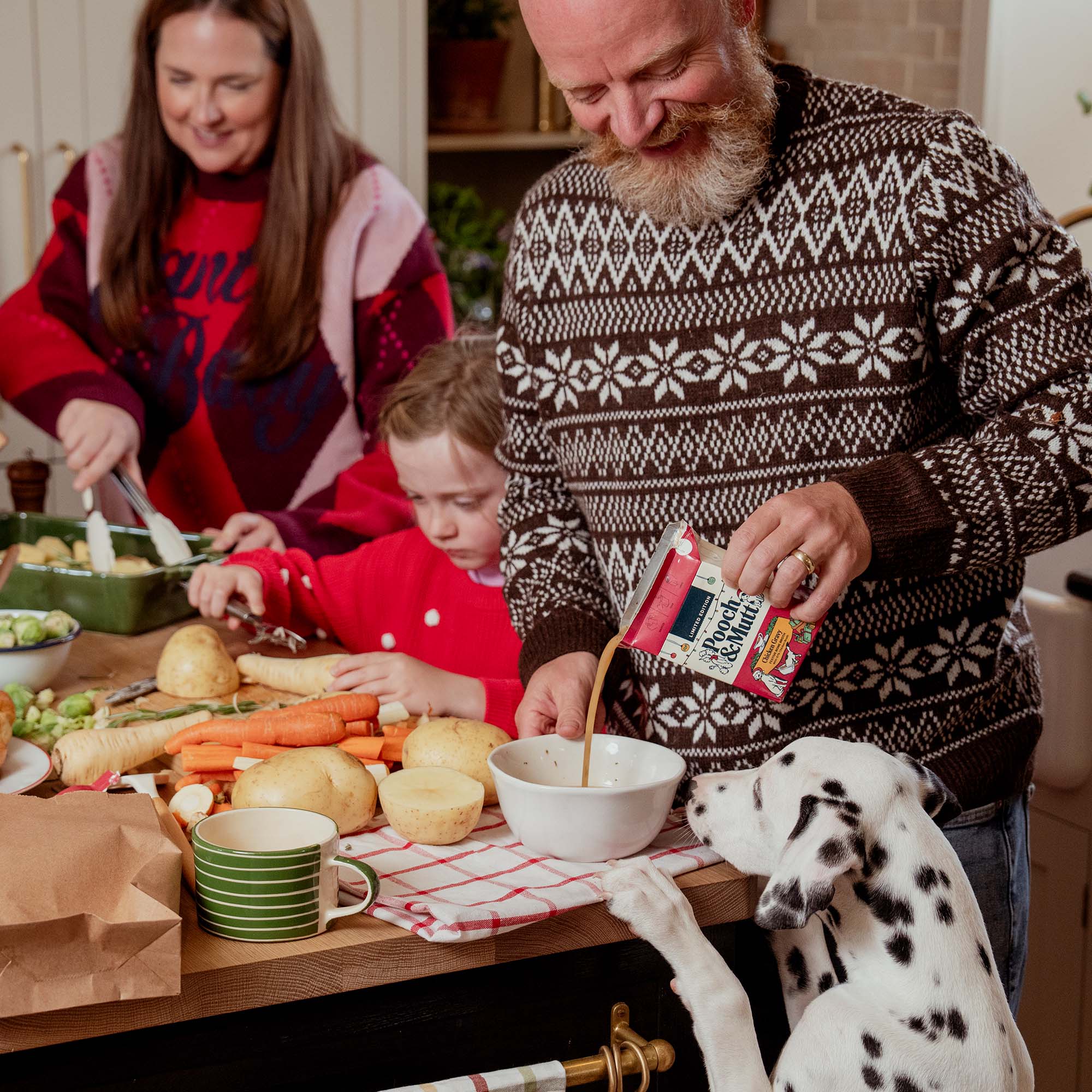 CHRISTMAS CHICKEN GRAVY DOG LIFESTYLE