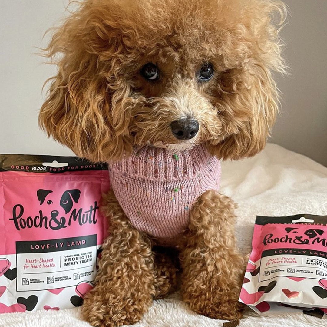 6 reasons to love our Love-ly Lamb Meaty Treats-Image 9