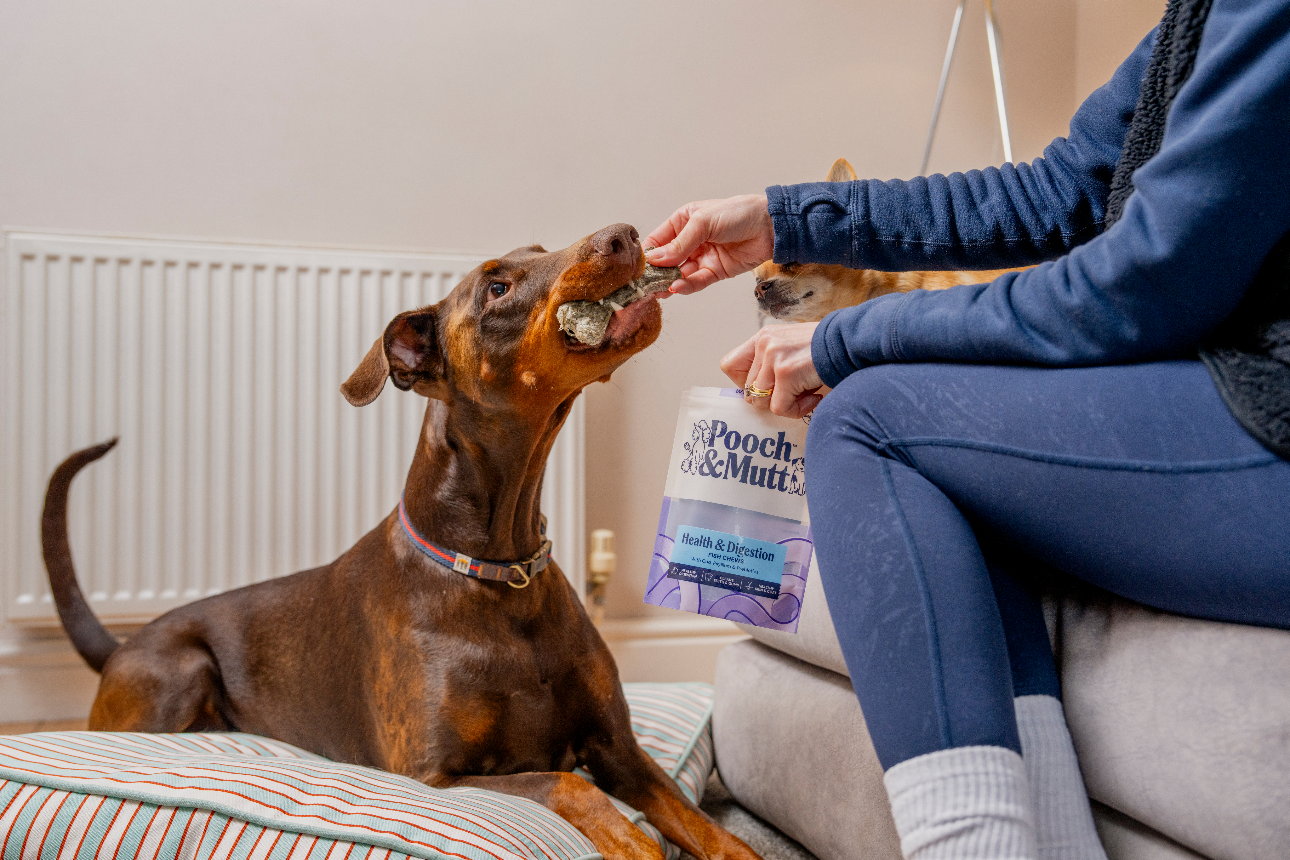 1f6117054a2006f3de00e49d5f5e0be825338336