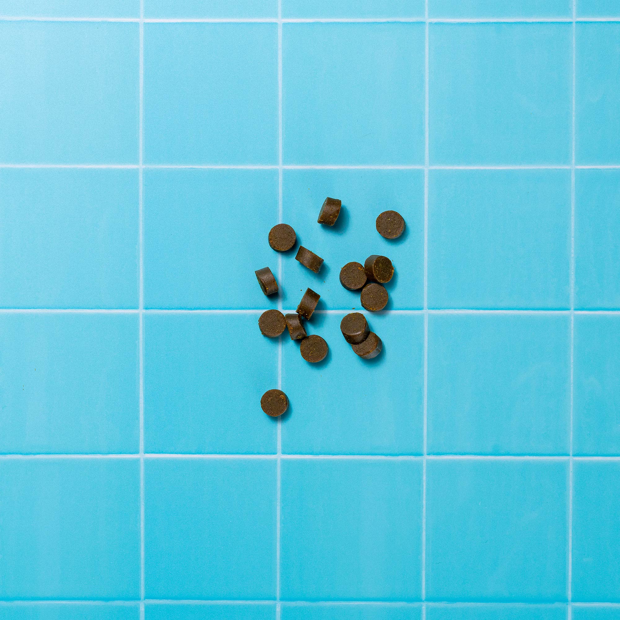 GJM MINIS VETERINARY P&M REBRAND