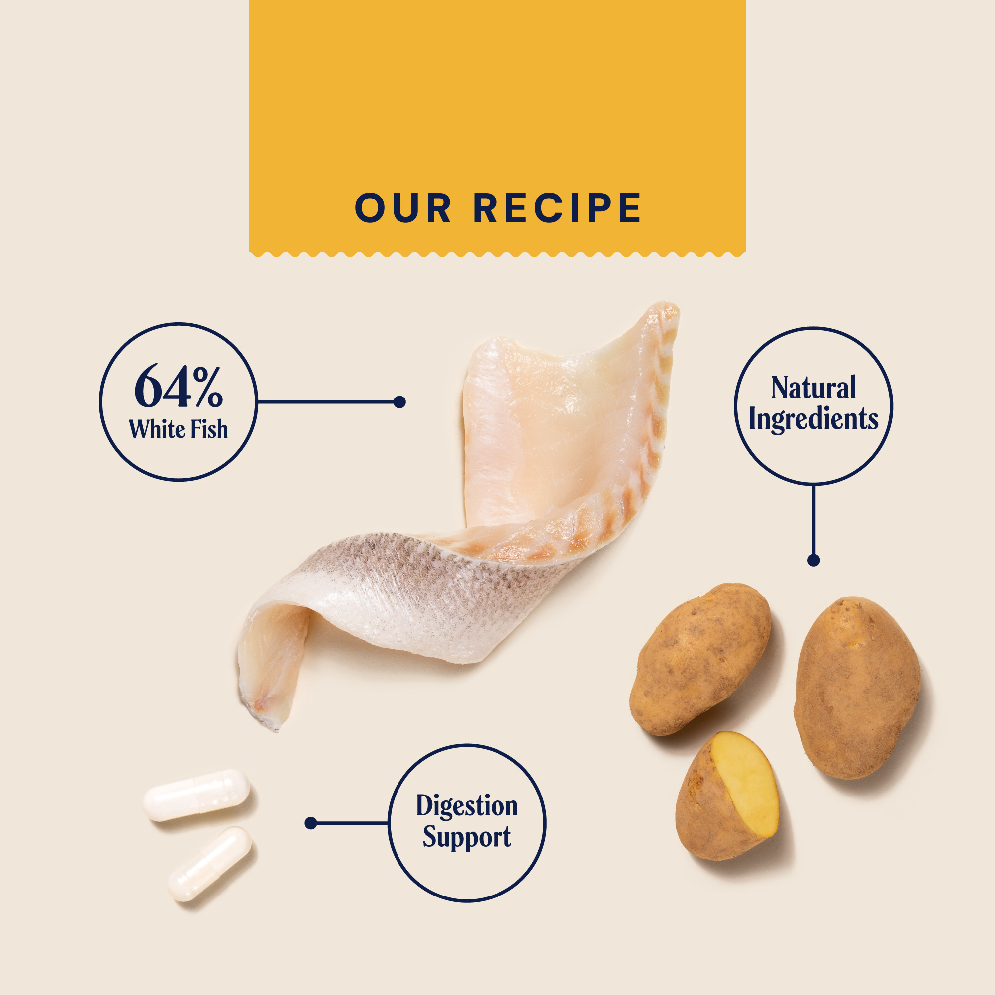 P&M INGREDIENT IMAGE SUPERFOODS FISH & POTATO