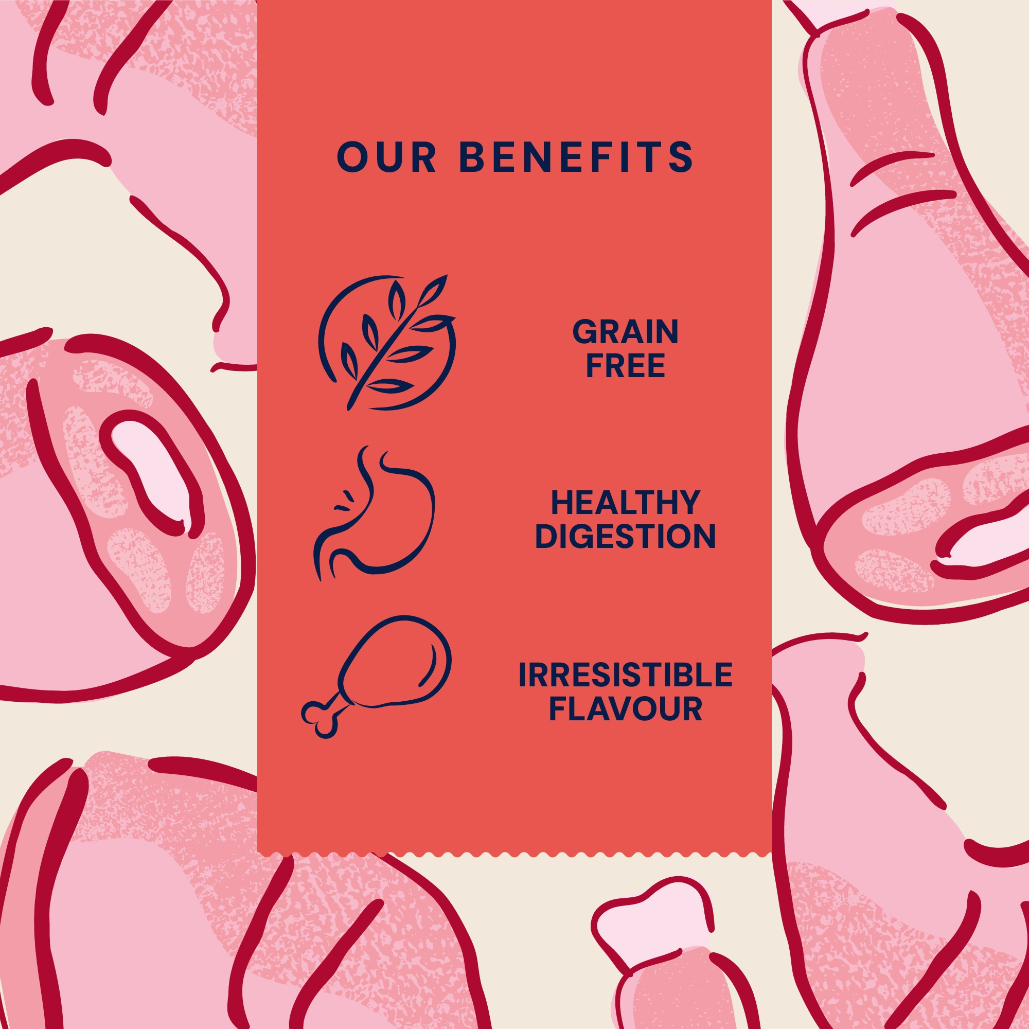 P&M BENEFIT CARD FREEZE DRIED RAW TURKEY