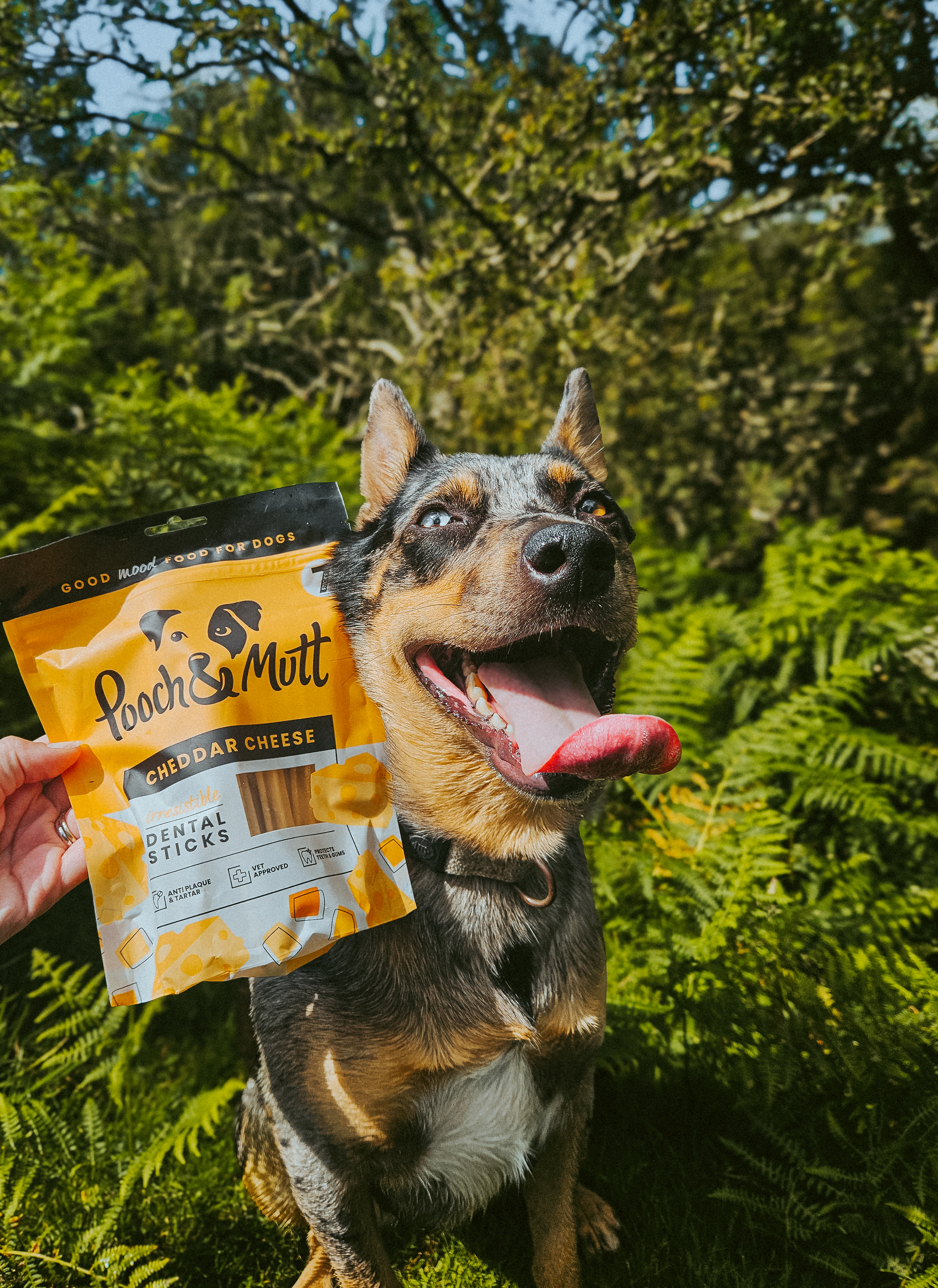 20250716 133734 - Lucy Davies