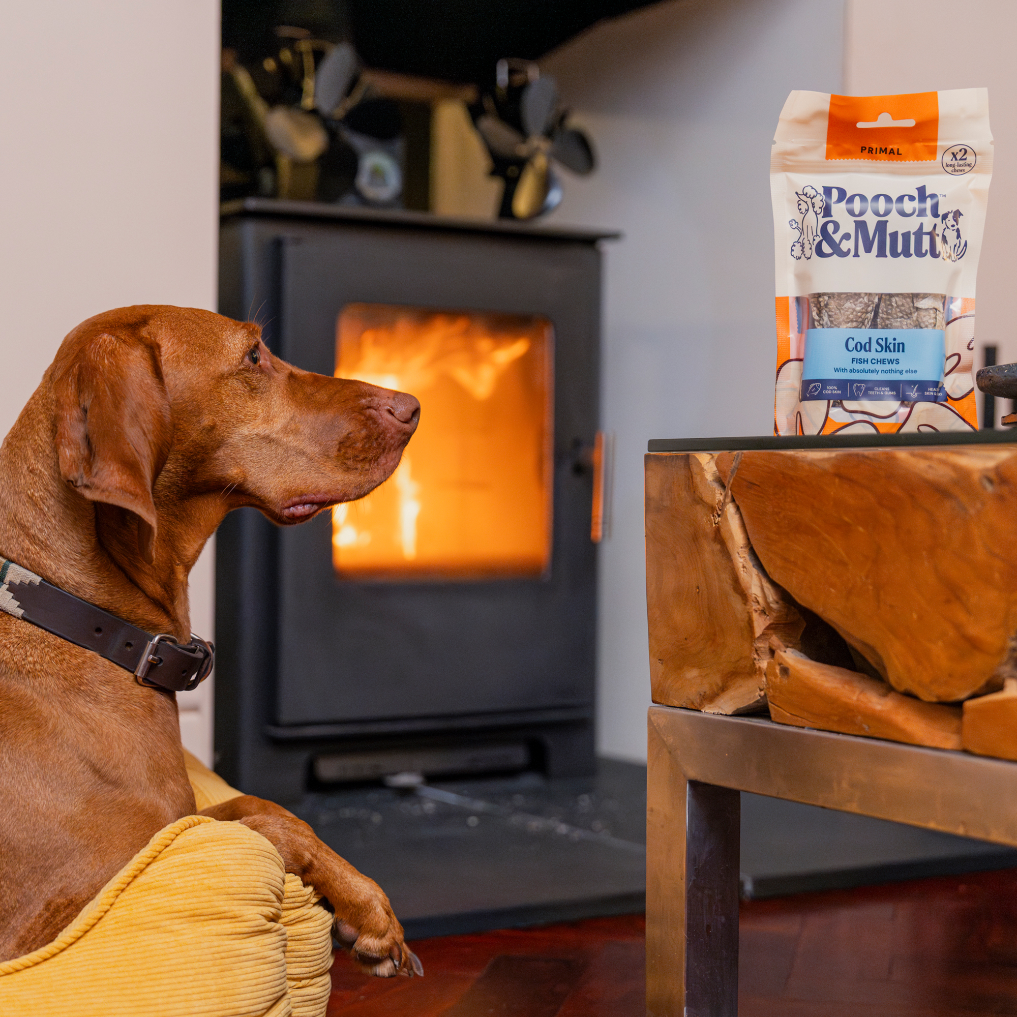 Long-Lasting Fish Hide Chews CHEW90FISH 1 lifestyle