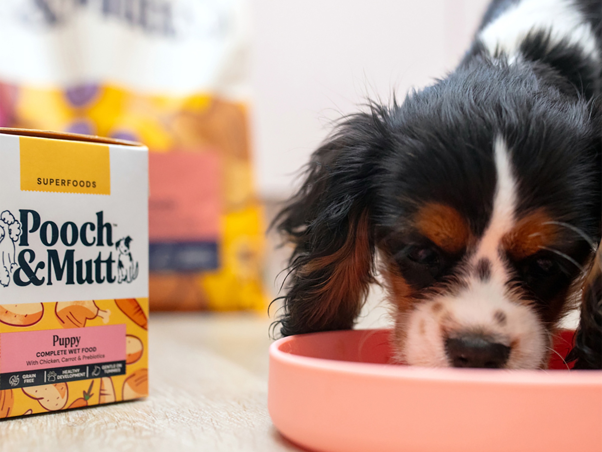 puppy nutrition landing page hero 1