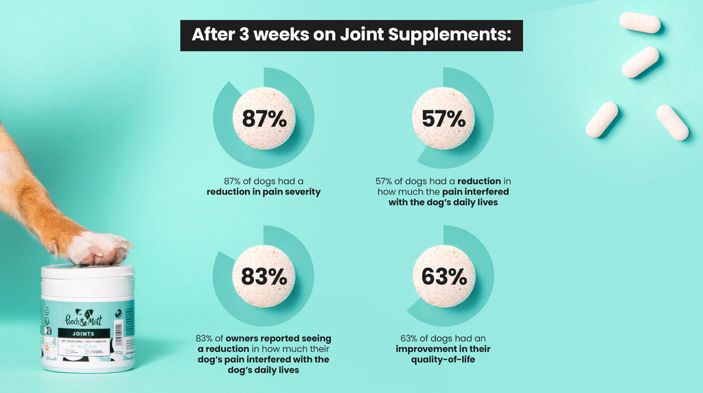 Our Joint Supplement Survey: The Results-Image 1