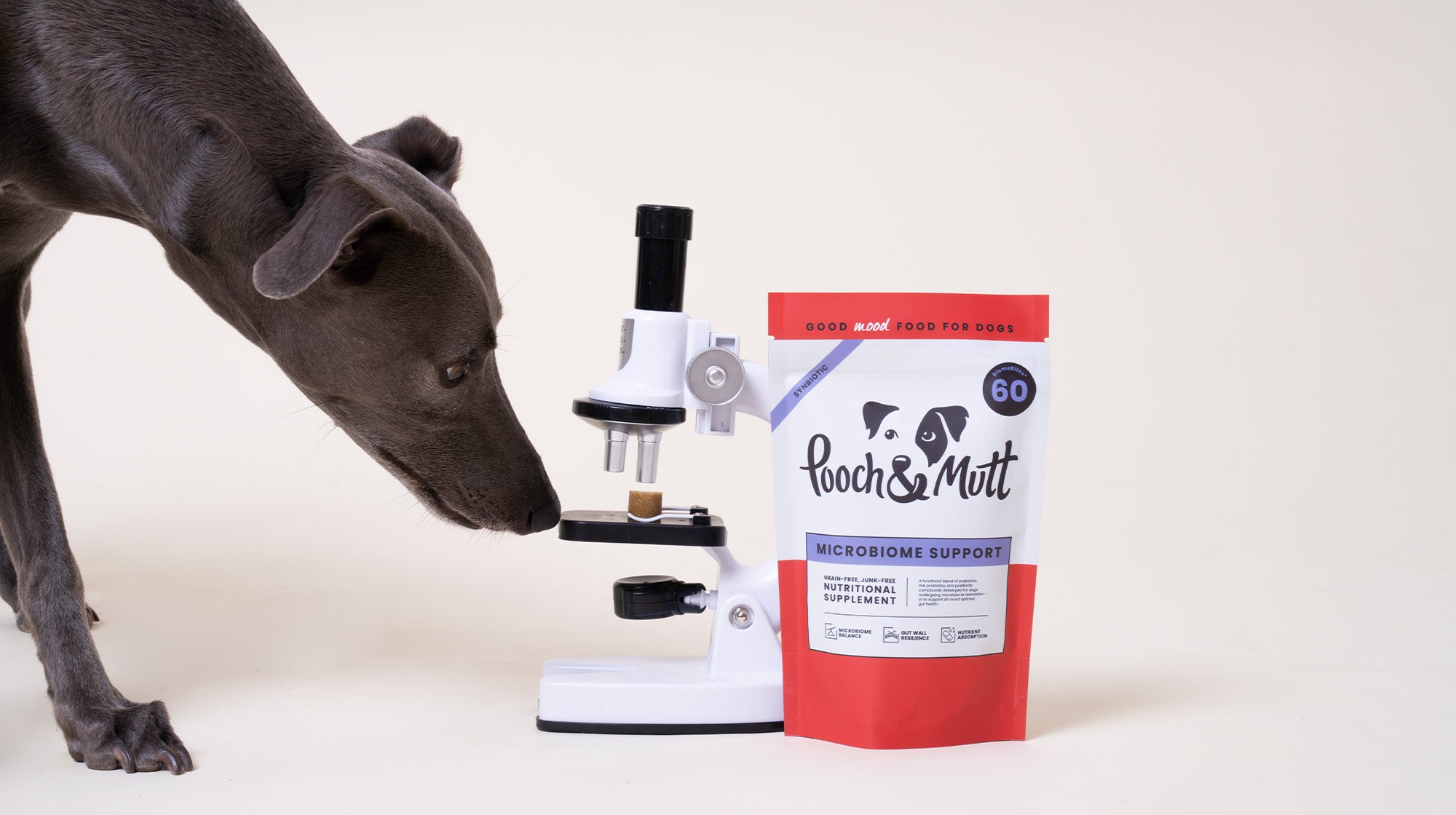 Your dog’s gut health: What is a microbiome?-Image 1