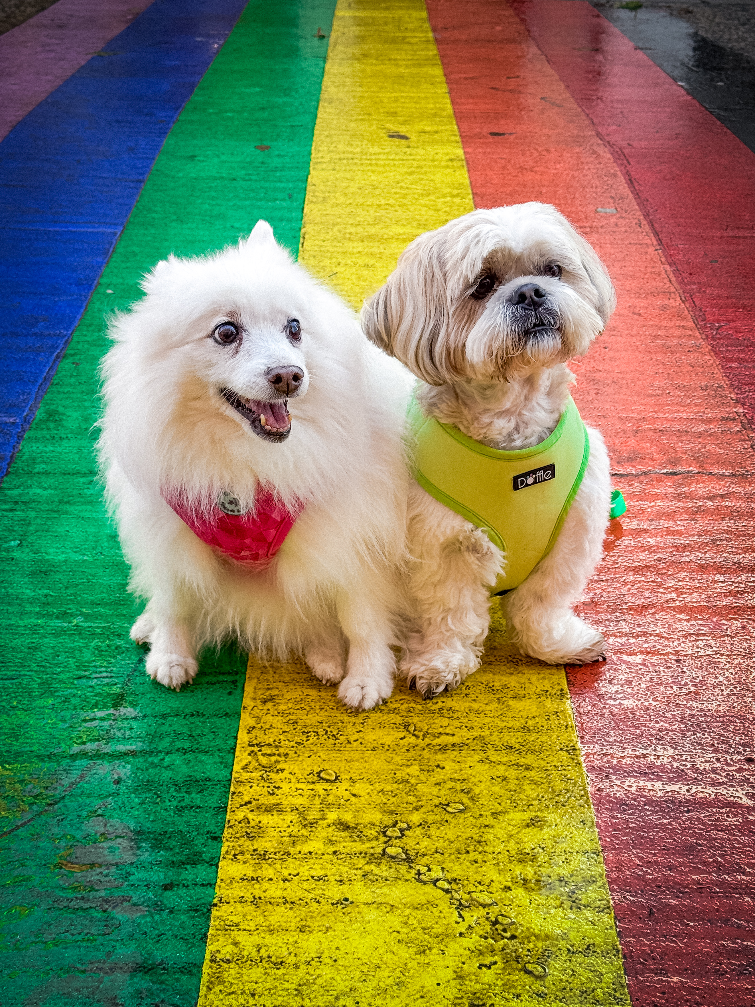 IMG 9747 - Kate Chapman