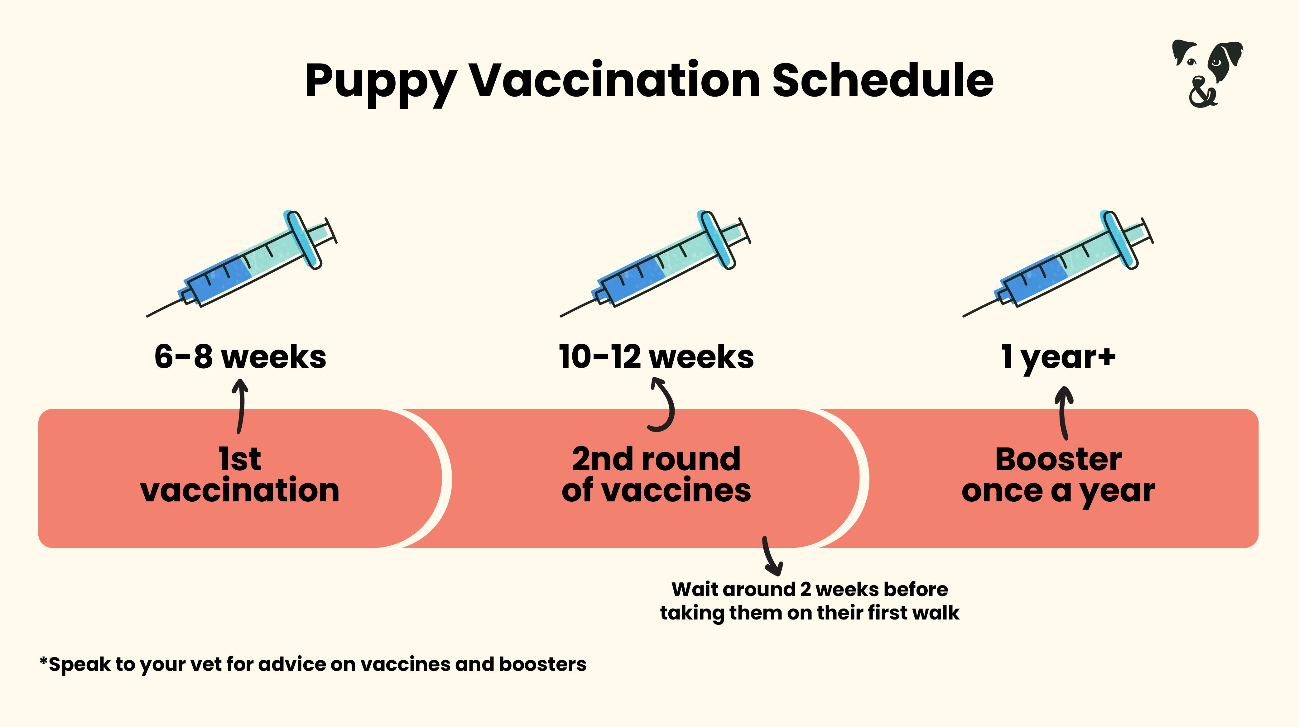What you need to know about puppy vaccines-Image 1
