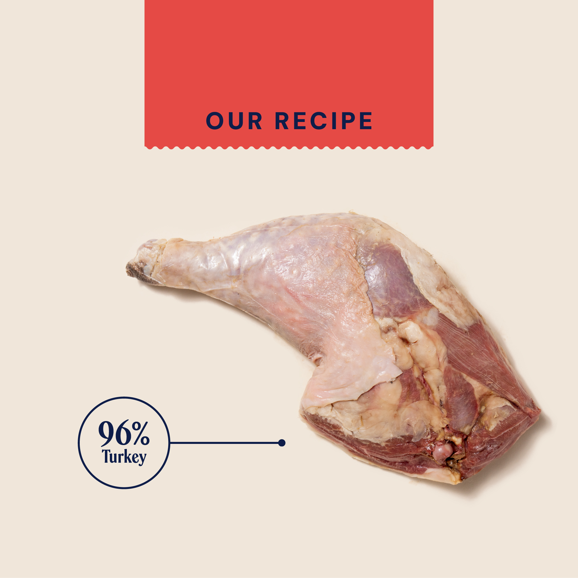P&M INGREDIENT IMAGE RAW TURKEY FREEZE DRIED TOPPER
