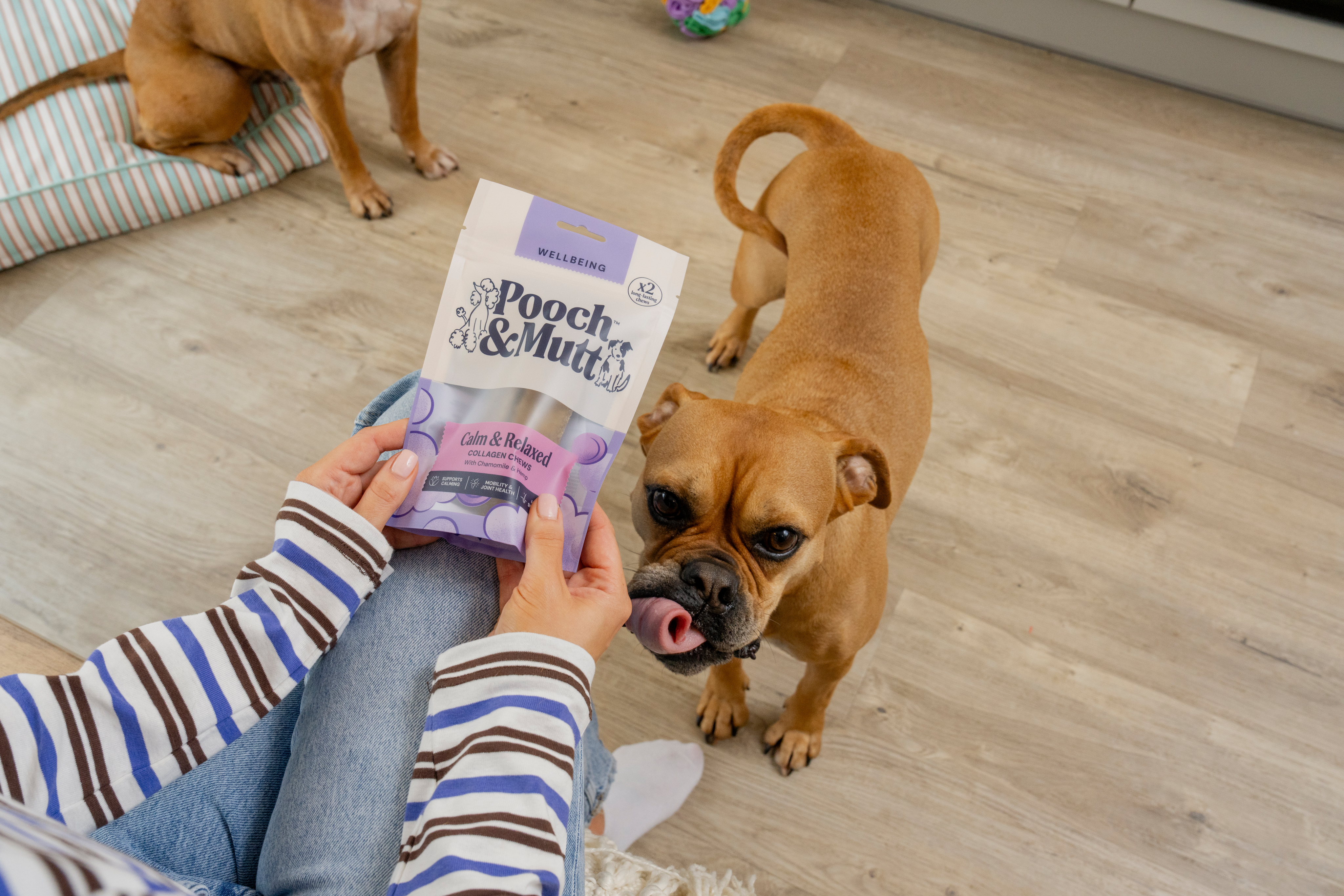 Collagen chews hero Hp