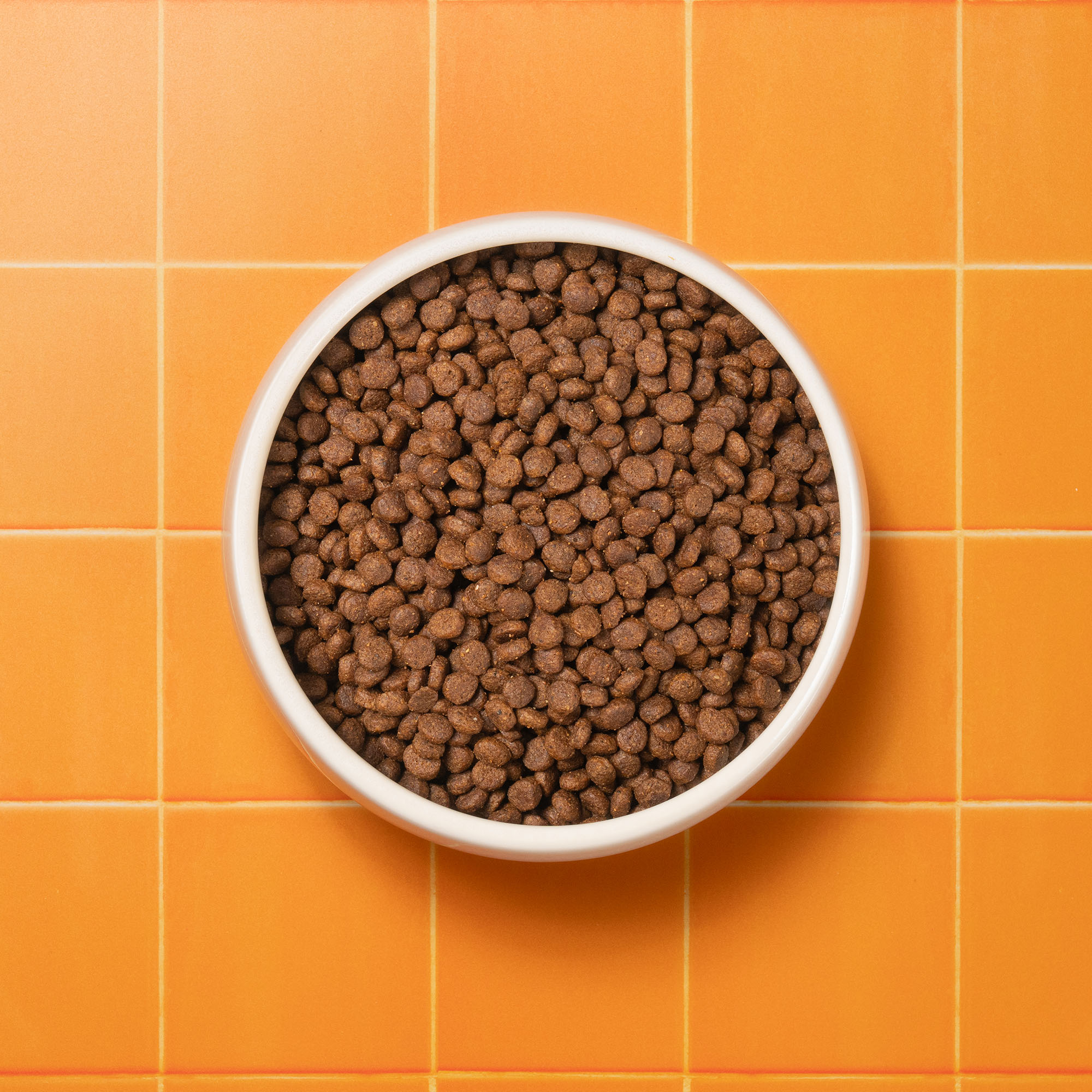 P&M CAT PRIMA DUCK DRY FOOD 72dpi