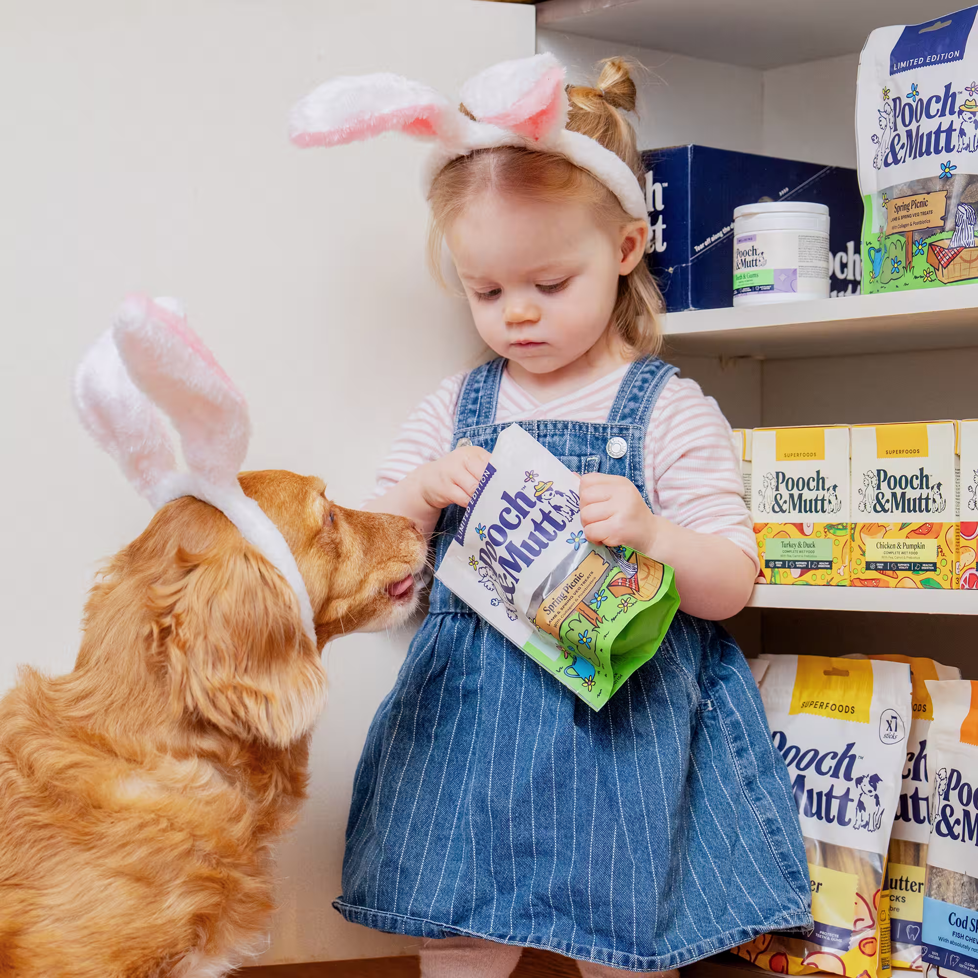 Little girl and ginger dog wearing bunny ears. The girl is feeding the dog pooch & mutt spring dog treats 