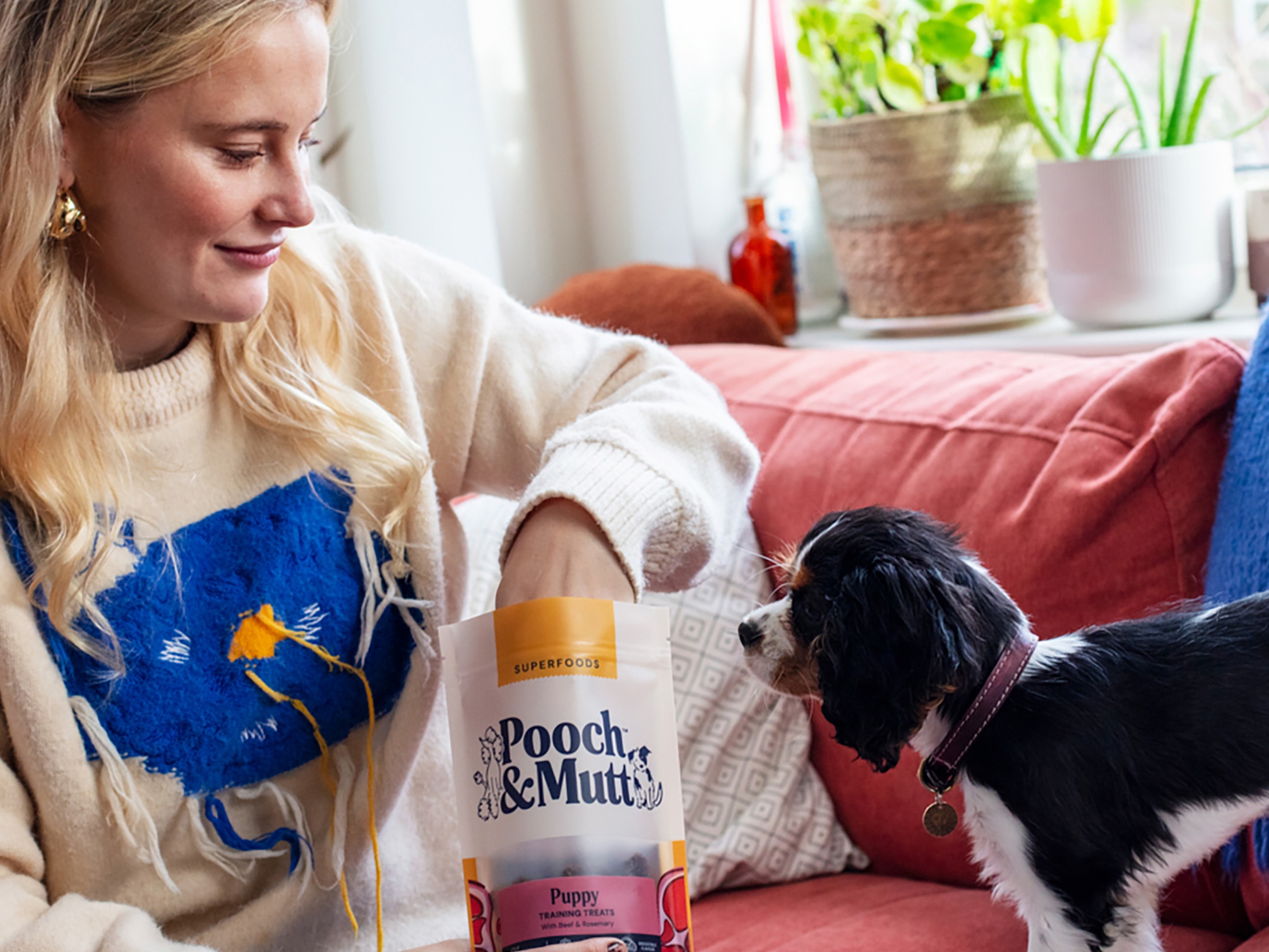 puppy training page hero