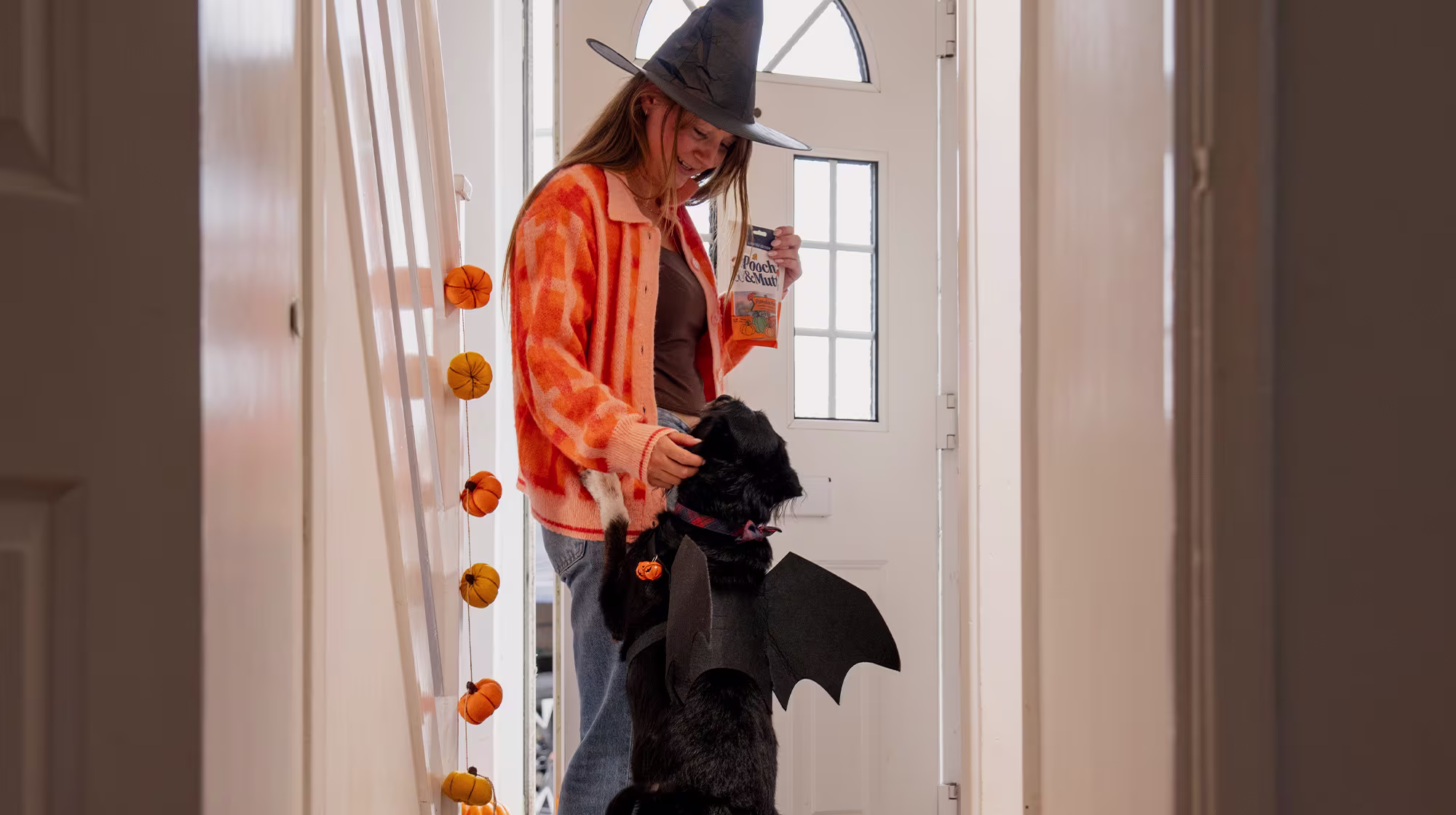 P&M BLOG PUMPKIN PATCH KEEP YOU DOG SAFE AT HALLOWEEN BODY IMAGE BLOG 1