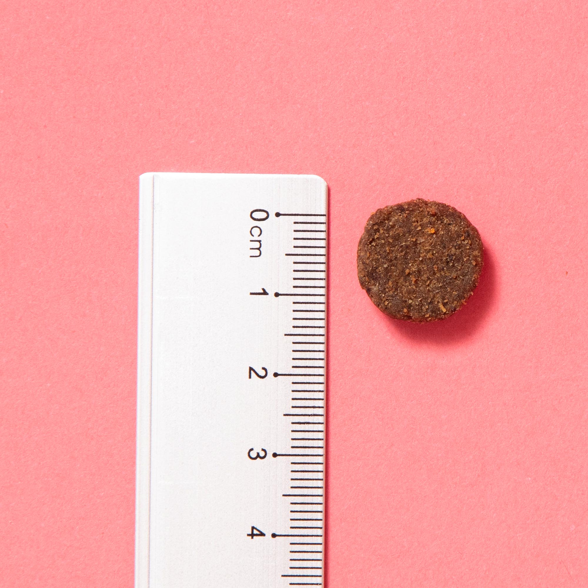 PRIMAL WILD BOAR PDP 4