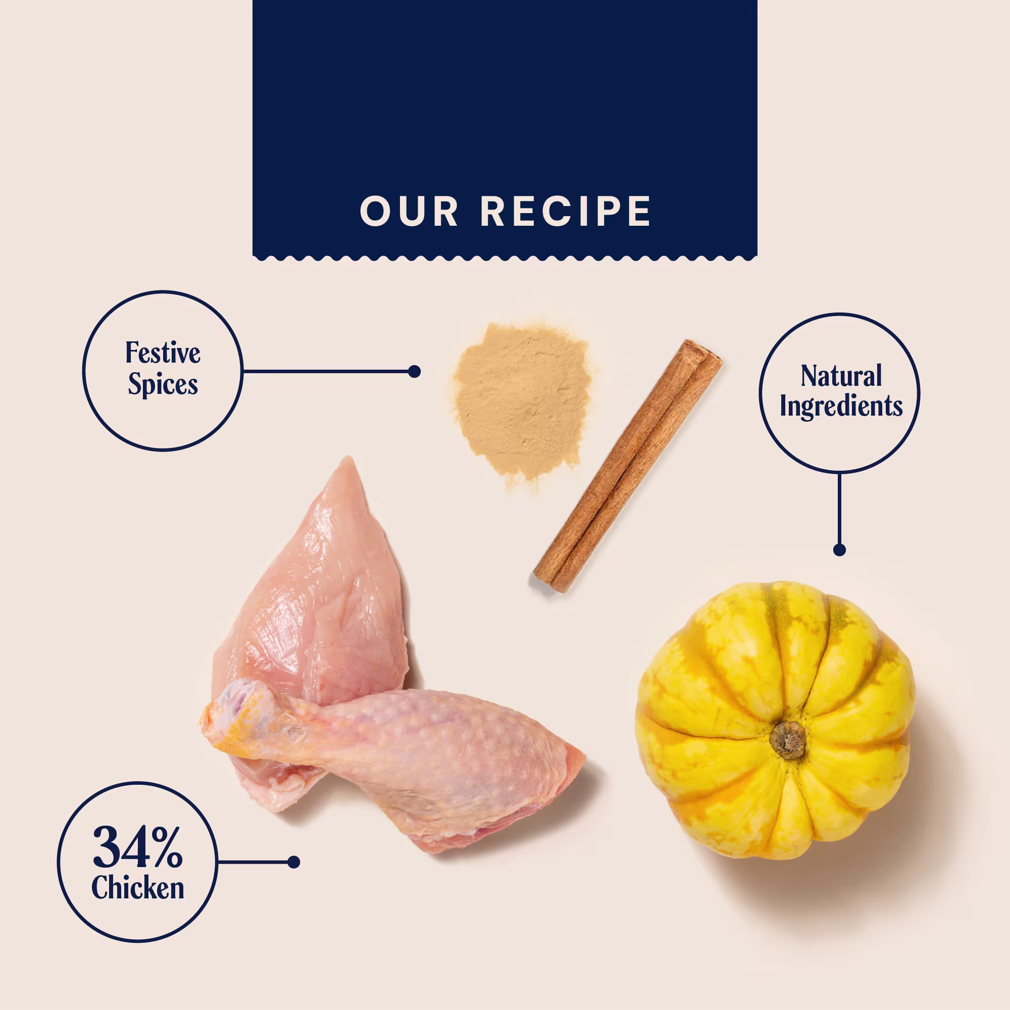 Ingredients laid out of the ingredients in the Pooch & Mutt gingerbread advent calendar for 2026. Features pumpkin, festive spices and chicken