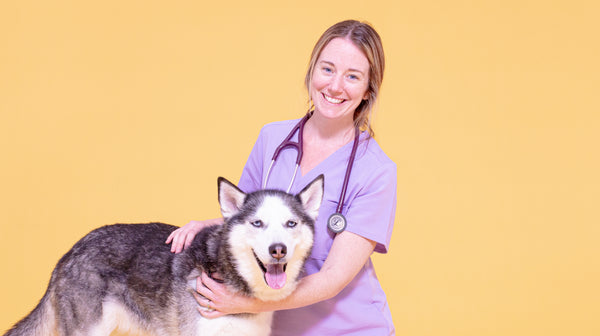 Am I over-exercising my dog?-Image 1