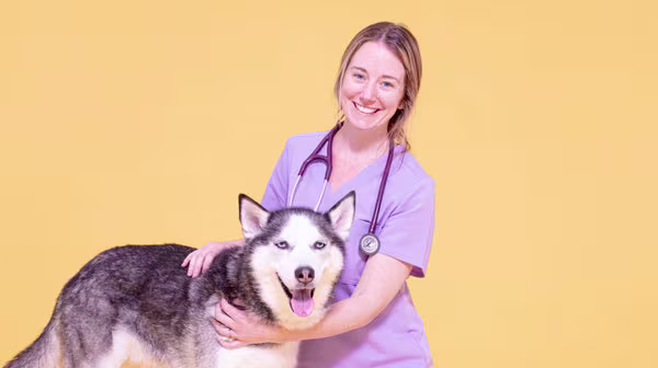 Am I over-exercising my dog?-Image 1