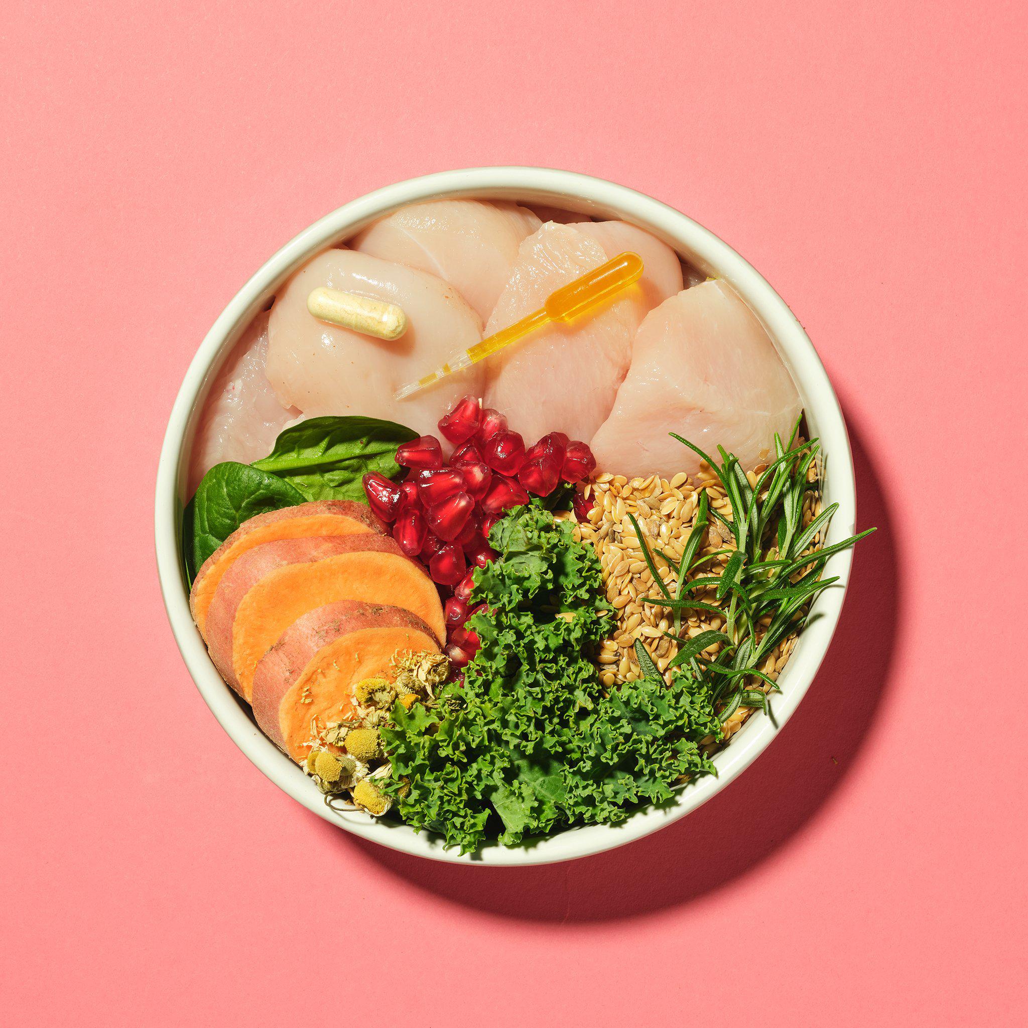 Puppy Complete Dry Superfood Clearance